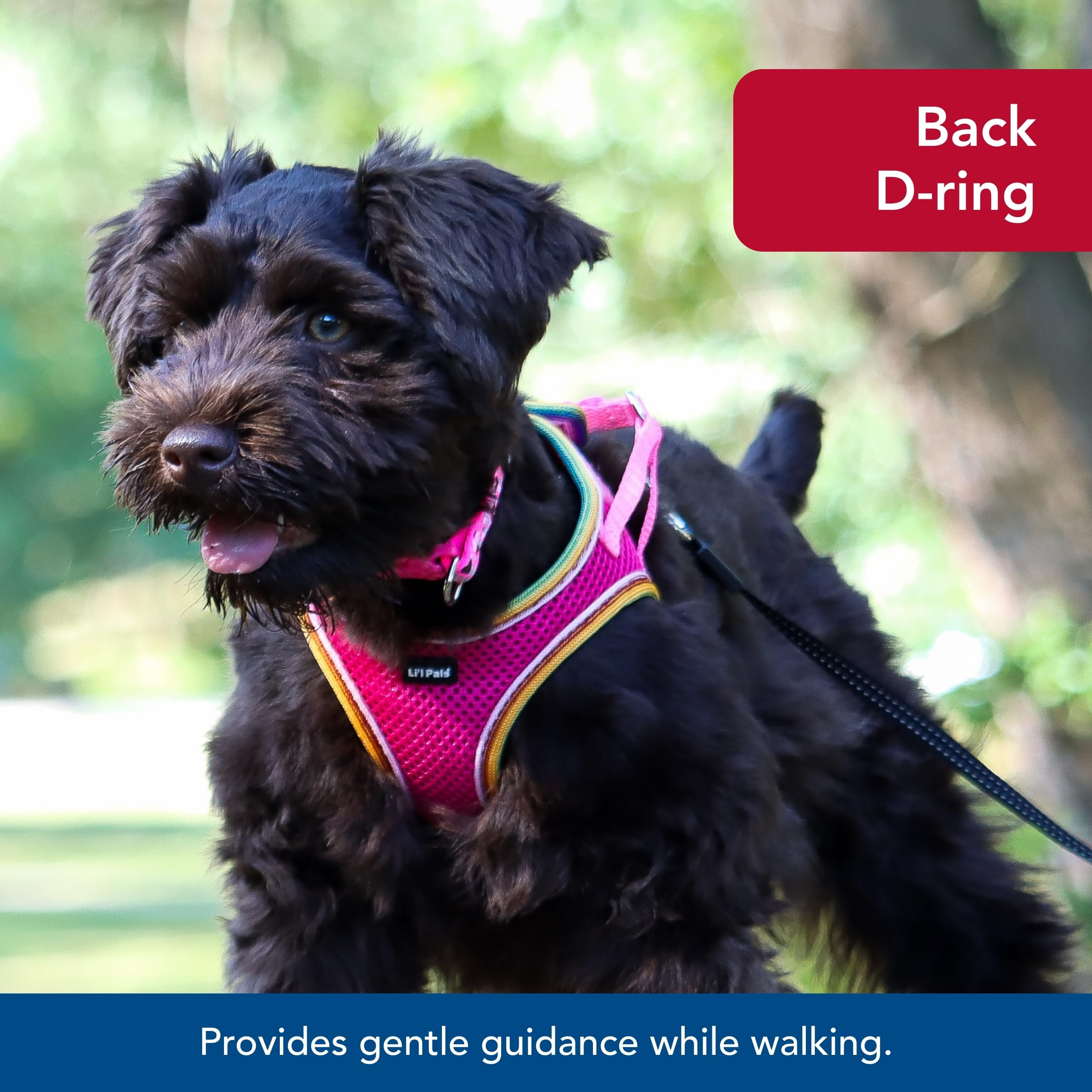 Coastal Pet Li'L Pals Comfort Mesh Dog Harness - No-Pull Step-In Dog Harness For Small Dogs & Puppies - Dog Cooling Vest - Orchid - 3/8' X 8'-10'