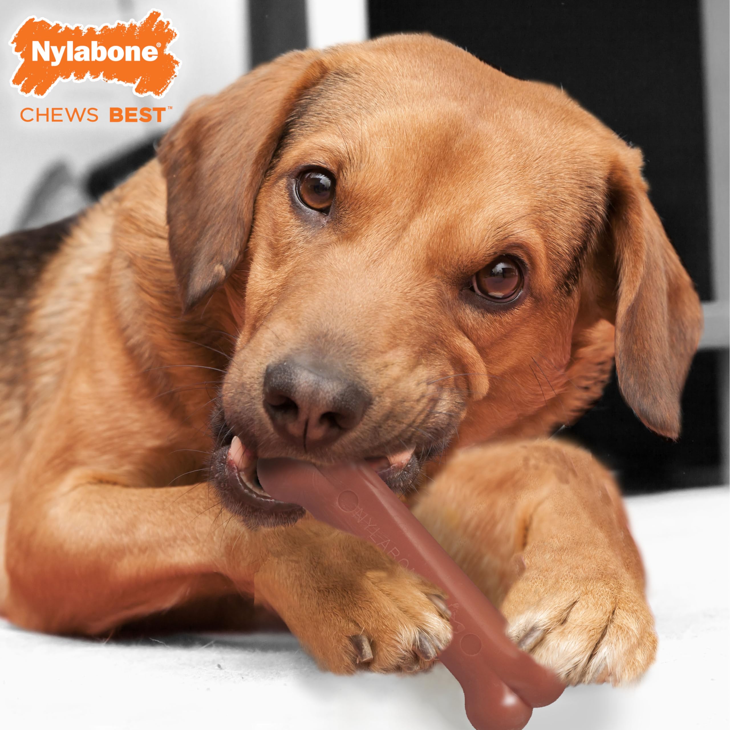 Nylabone Original Bone Power Chew Toy for Dogs, Durable Dog Toys for Aggressive Chewers, Basted Blast Bacon & Chicken Flavor, Me