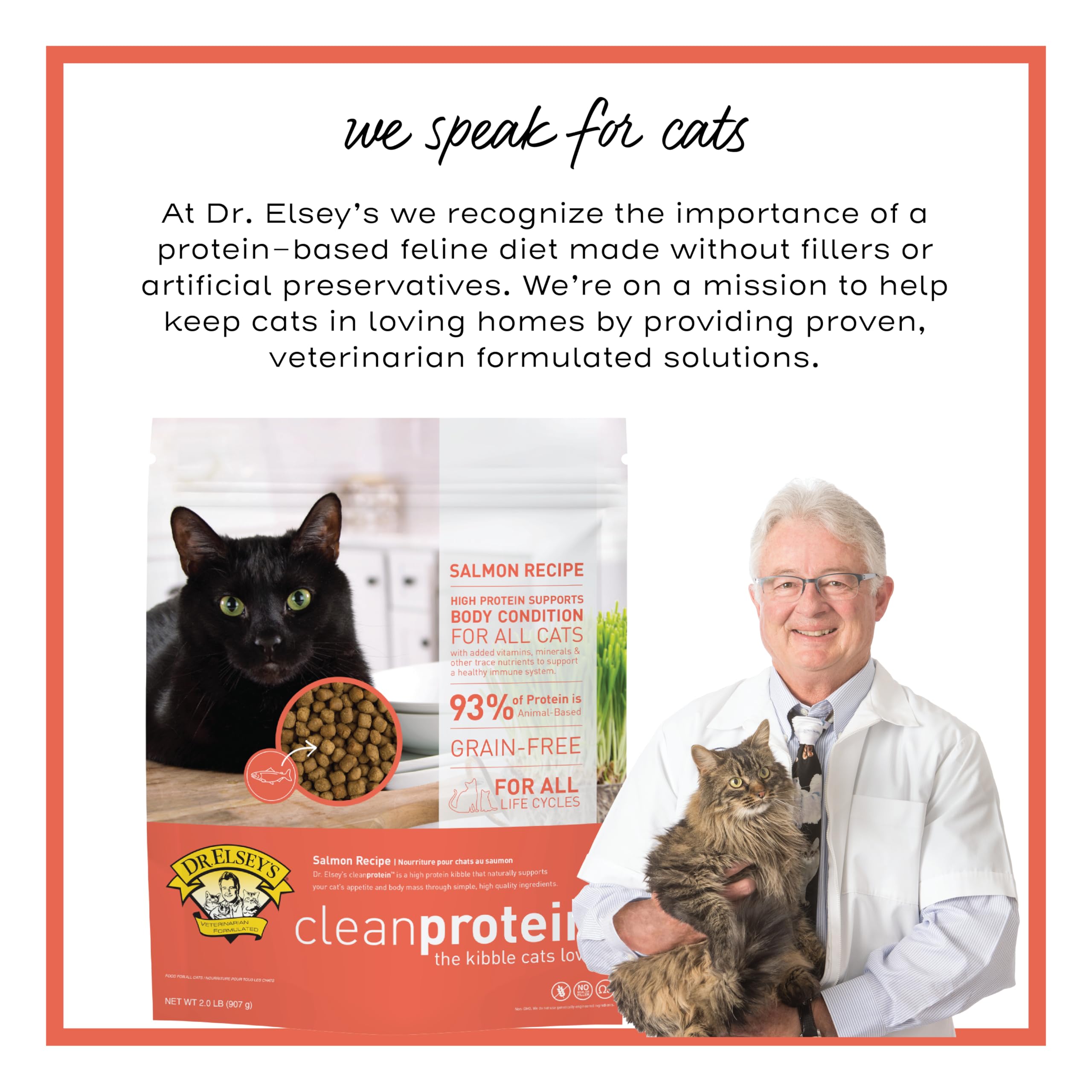 Dr. ElseyS Cleanprotein Salmon Formula Dry Cat Food, 2 Pound (Pack of 1)