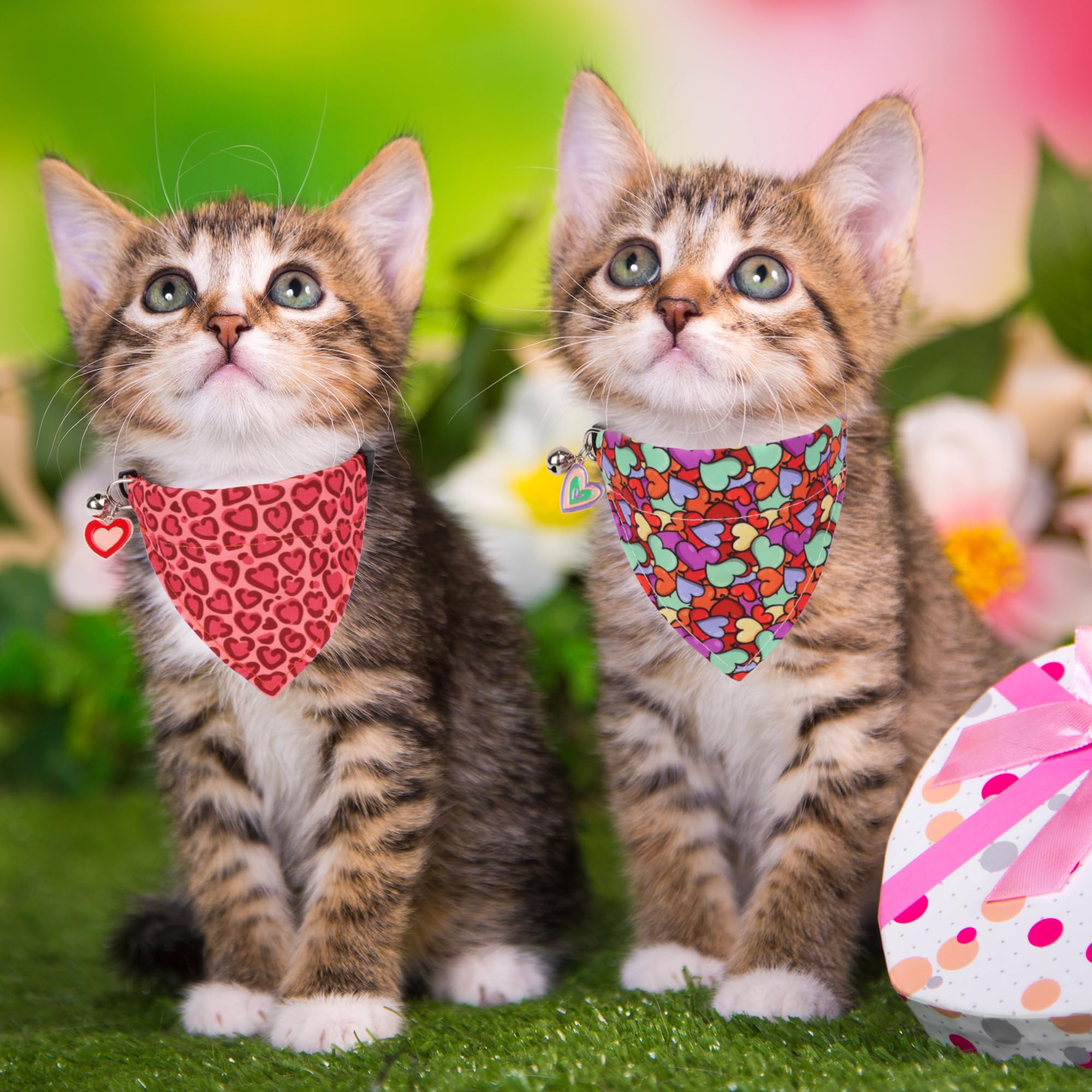 Adoggygo Valentine Cat Collars With Removable Bandana Bell, 2 Pack Adjustable Valentine Heart Collar For Cats Kittens