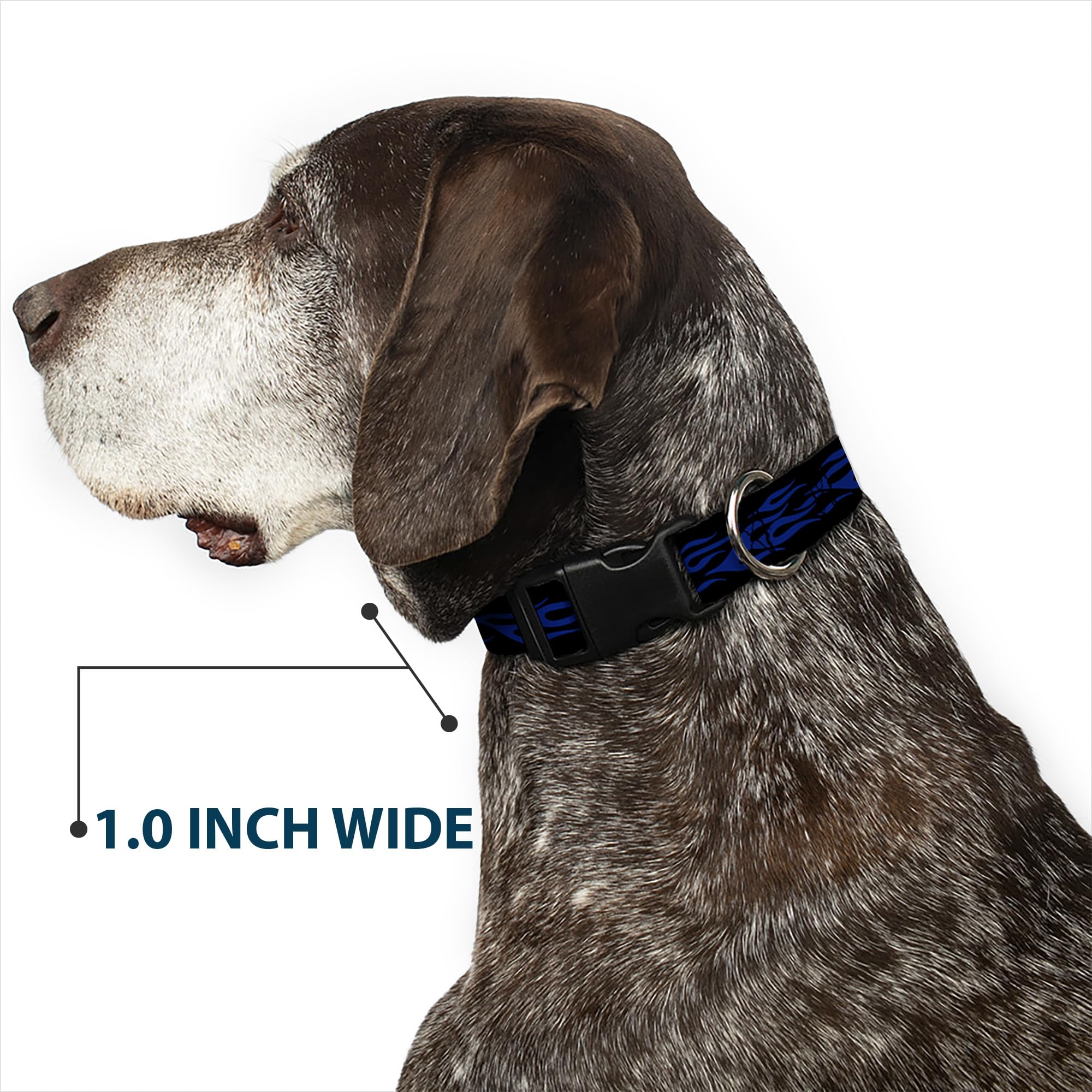 Buckle-Down Plastic Clip Collar - Flame Blue - 1.5 Wide - Fits 13-18 Neck - Small