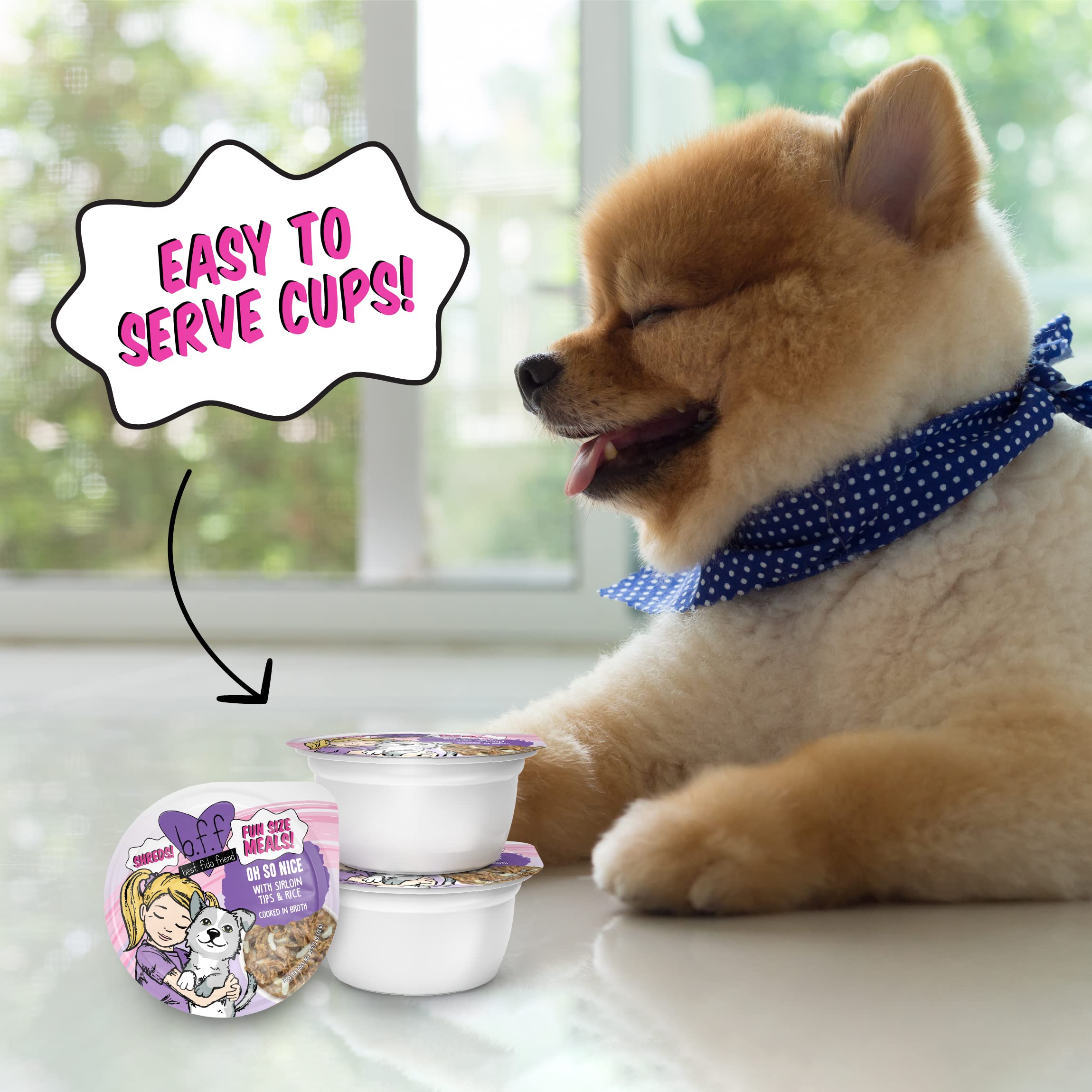 Weruva B.F.F. Best Fido Friend Fun Size Meals, Oh So Nice, 2.75oz Cup, Pack of 12