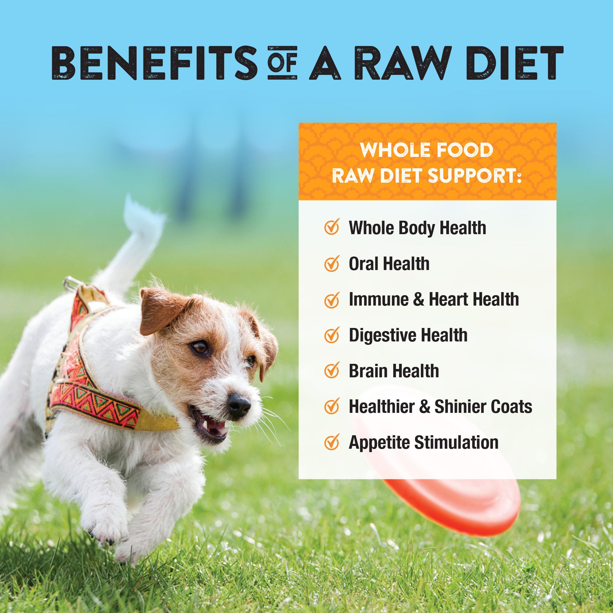 Northwest Naturals Freeze-Dried Turkey Dog Food - Bite-Sized Nuggets - Grain-Free, High-Protein, Raw Diet, Human-Grade, Limited