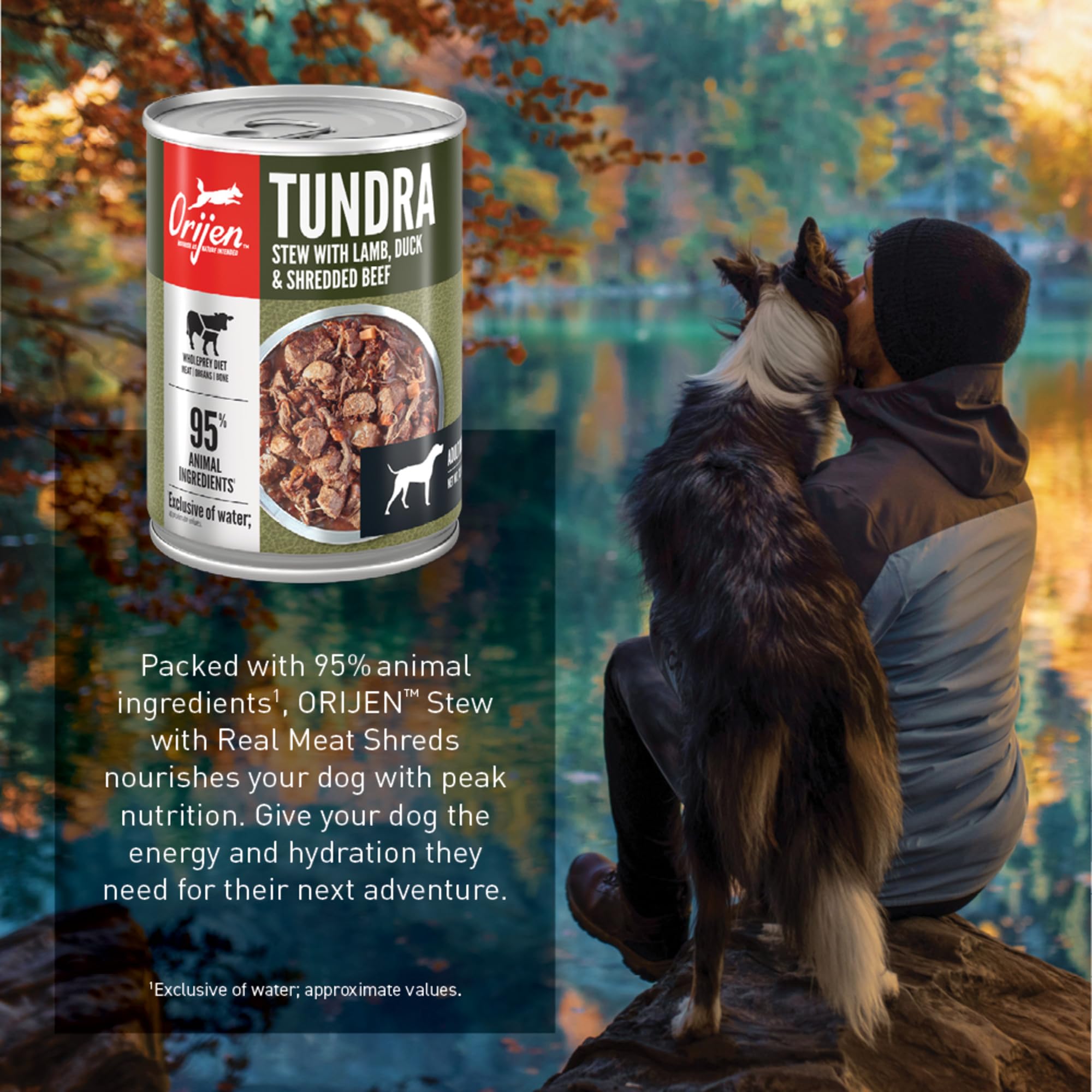ORIJEN Tundra Stew Wet Dog Food, Grain-Free, 12.8 oz (Pack of 12), Premium Meat Shreds, Green
