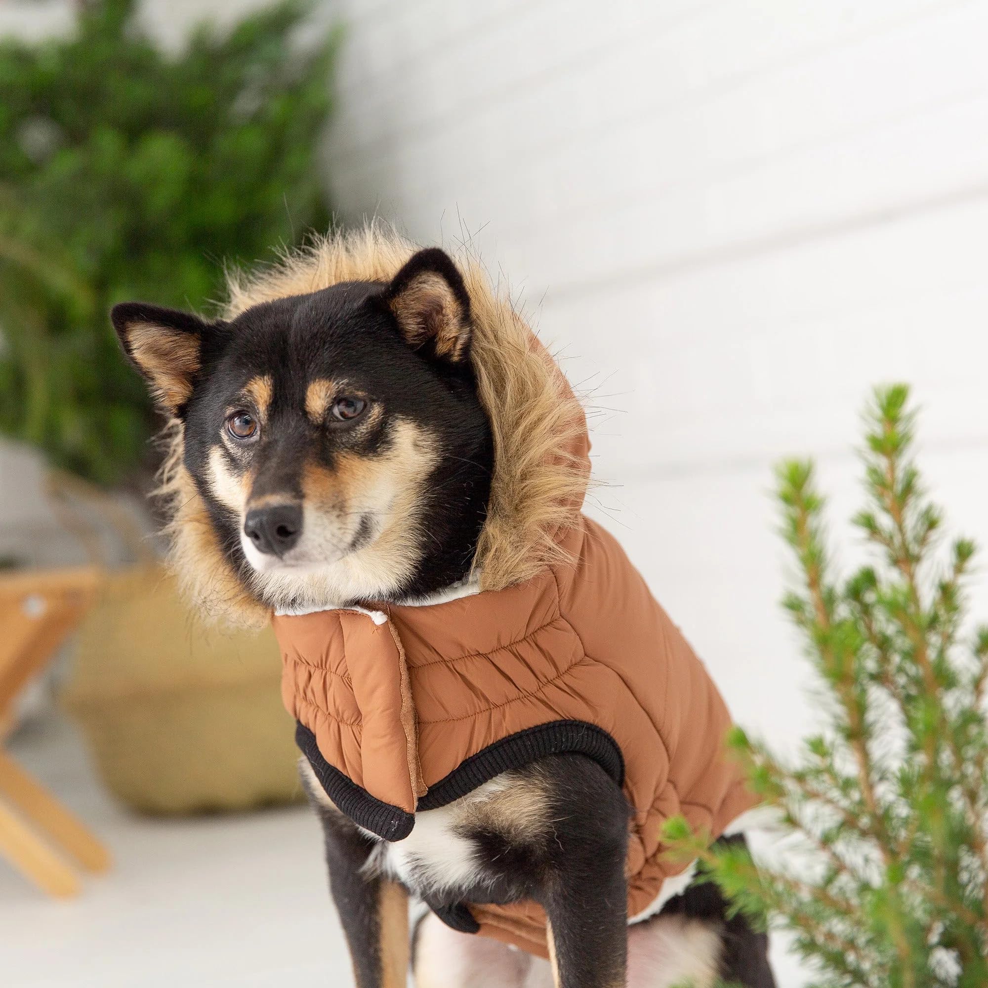 Gf Pet Urban Parka - Caramel - 2Xl