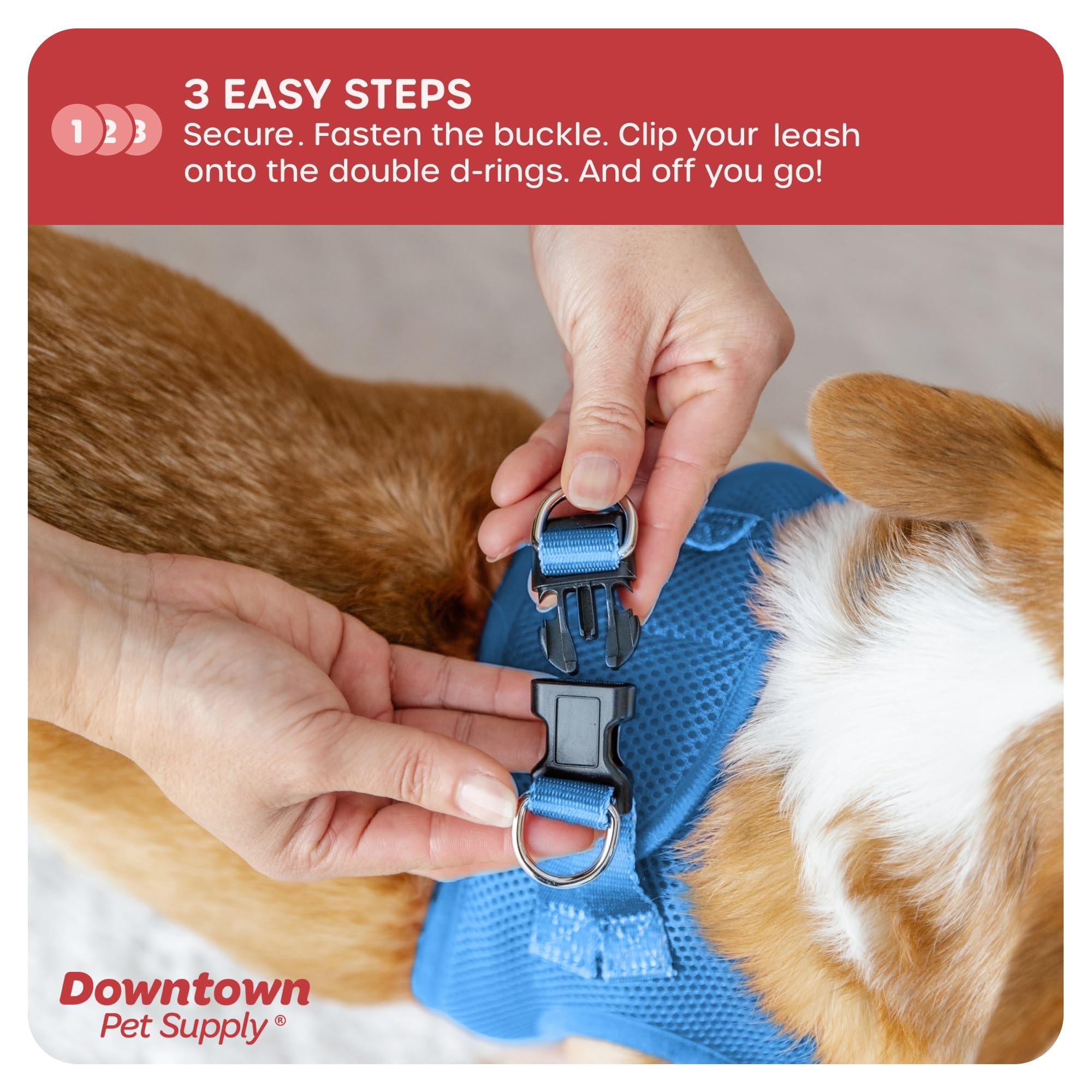 Downtown Pet Supply Step In Dog Harness No Pull, X-Large, Cobalt - Adjustable Harness With Padded Mesh Fabric And Reflective Tri