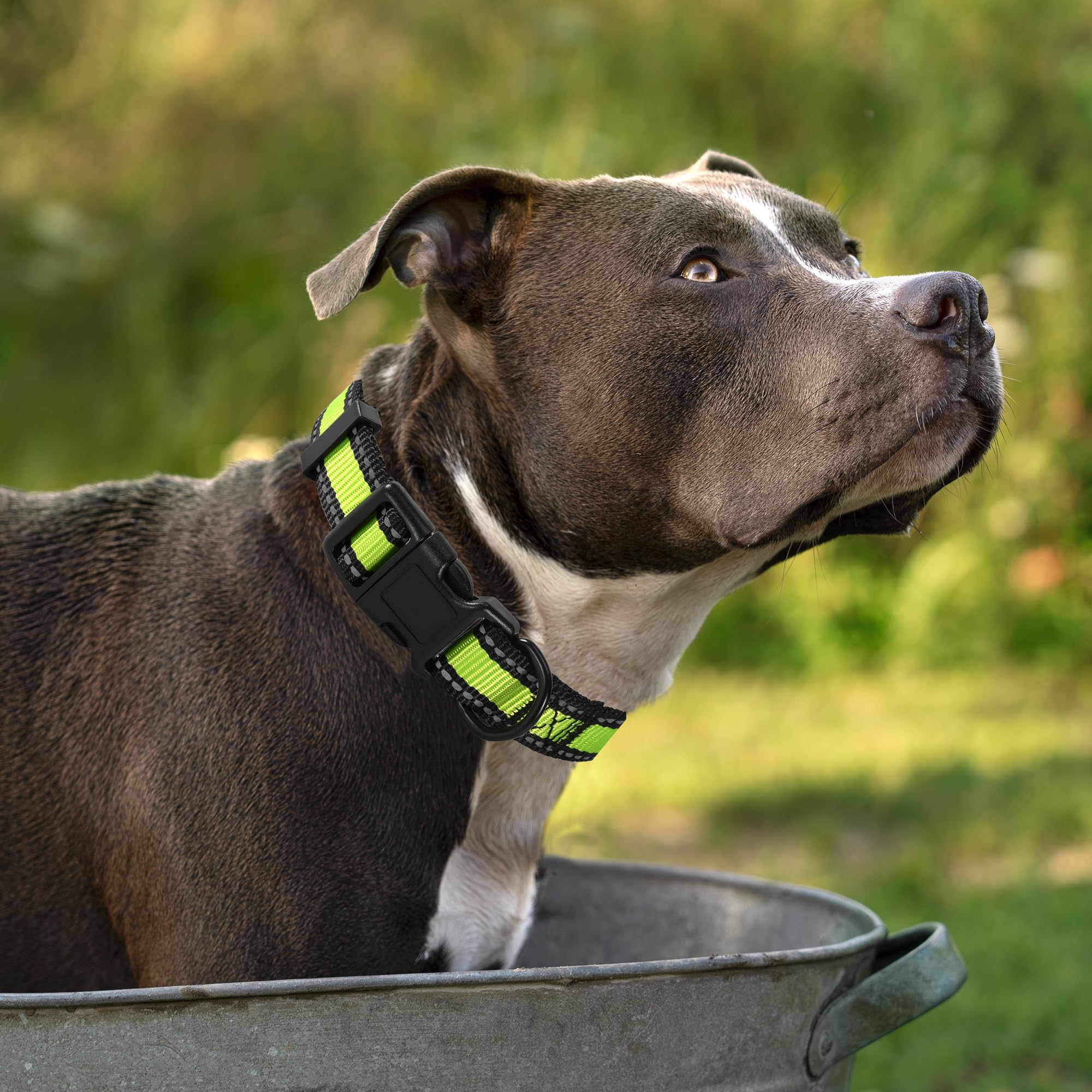 Mile High Life Dog Collar | Nylon Reflective Dog Collars | Light Weight Puppy Collars | Lime Green Dog Collars For Medium Dogs (