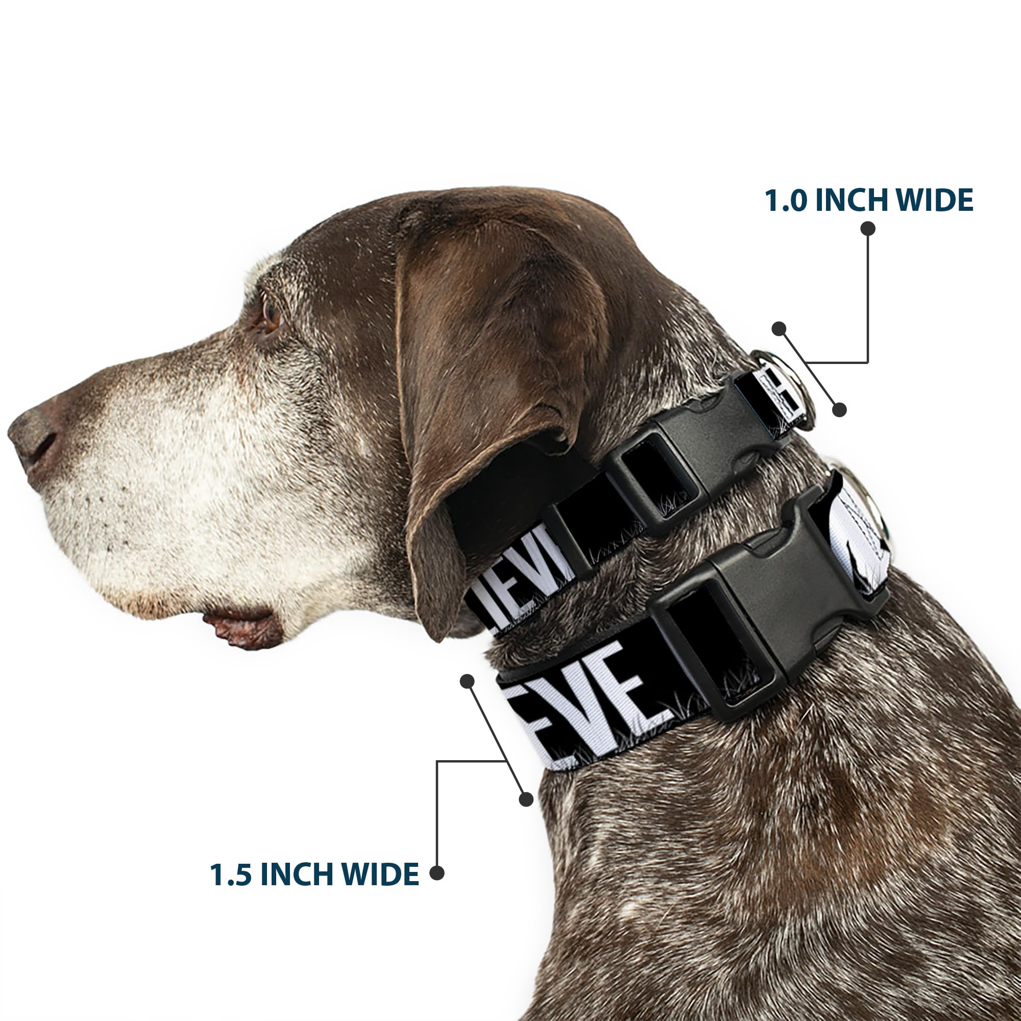 Buckle-Down 11-17 Bigfoot Silhouette I Believe Black/Gray/White Plastic Clip Collar, Medium