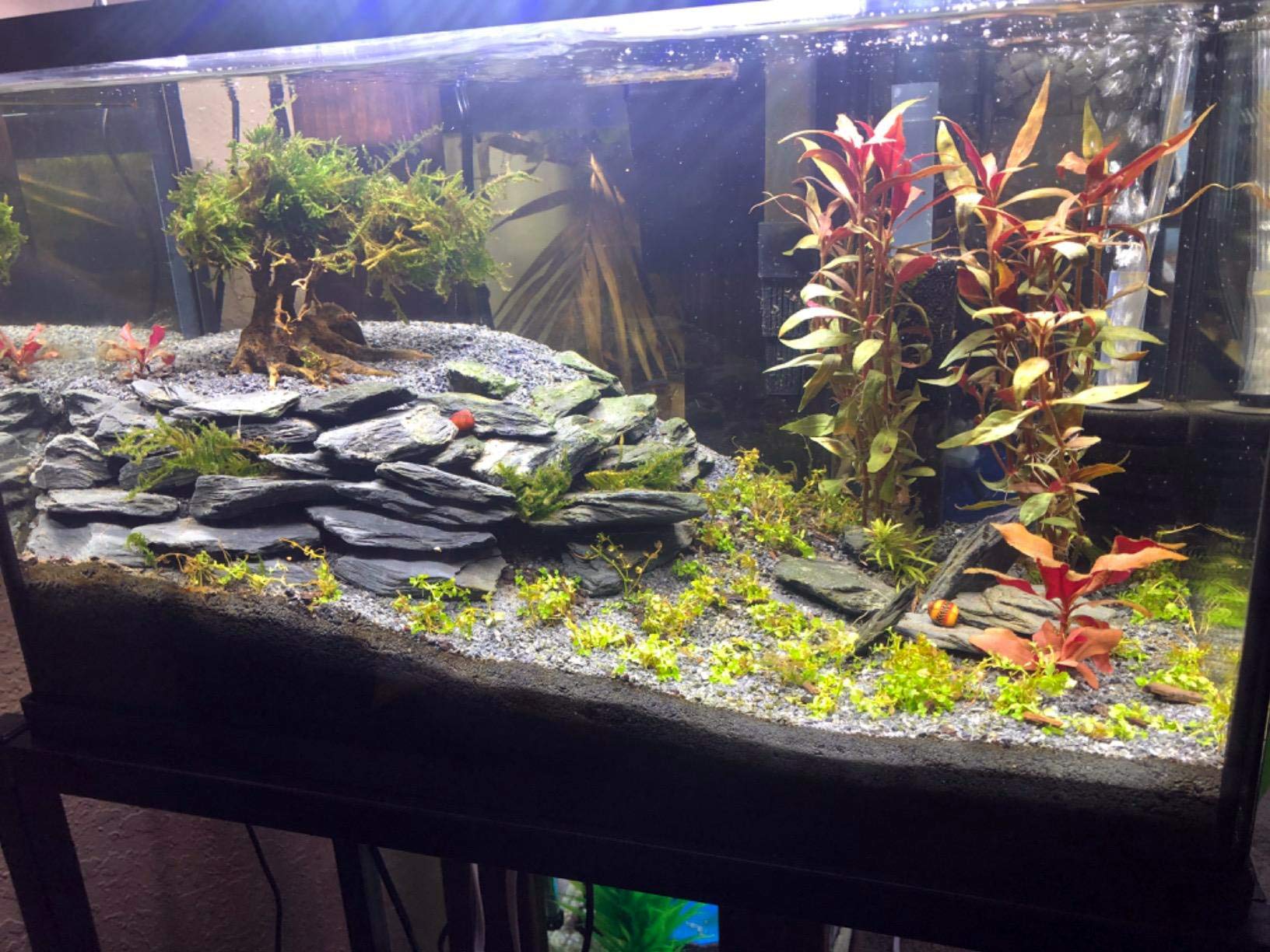 Voulosimi Natural Slate Rocks 5 To 7 Inch Ph Neutral Stone Perfect Rocks For Aquariums, Landscaping Model,Tank Decoration,Amphib