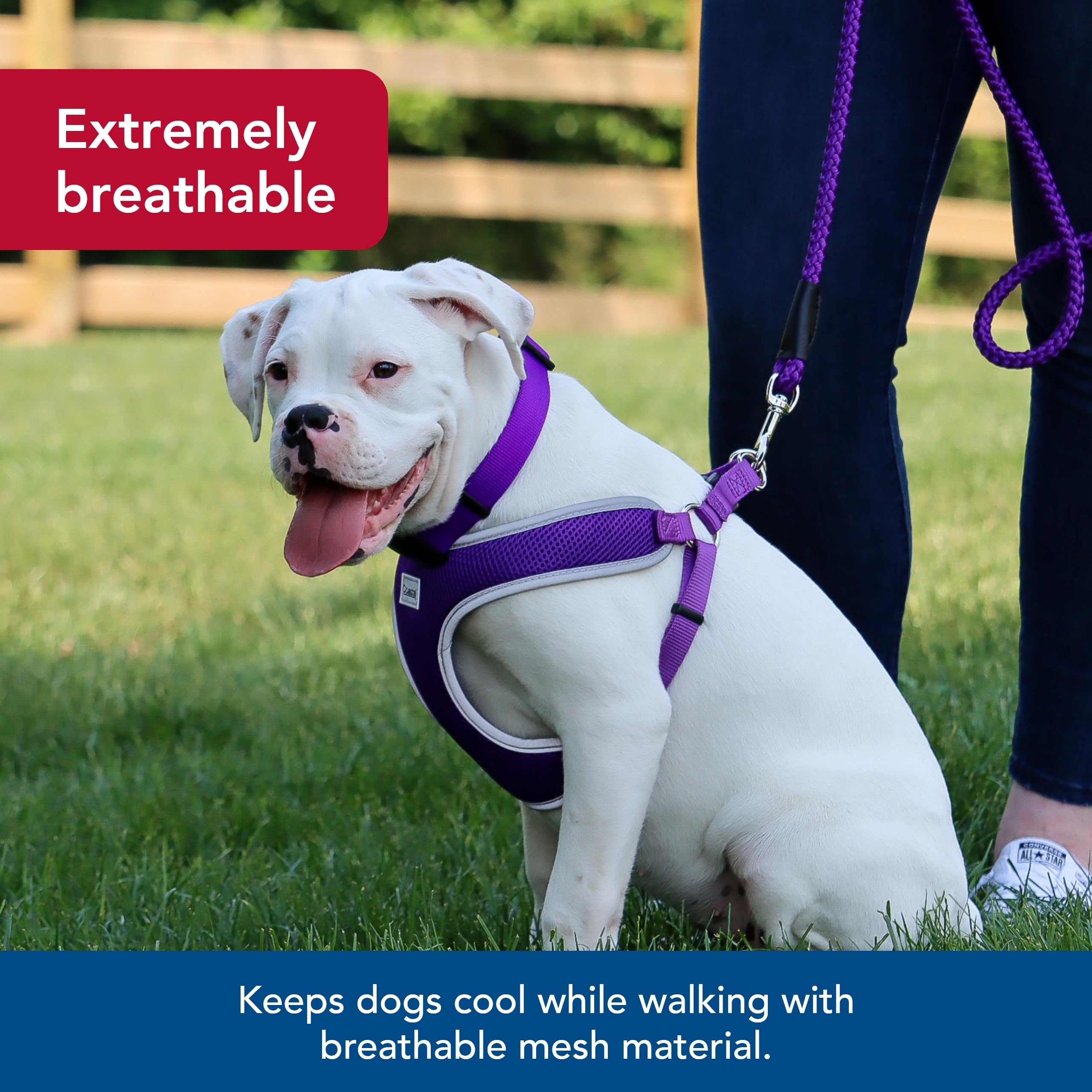 Coastal Pet Comfort Soft Reflective Wrap Adjustable Dog Harness - No-Pull Dog Harness For Small & Large Dogs - Neon Pink - 5/8''