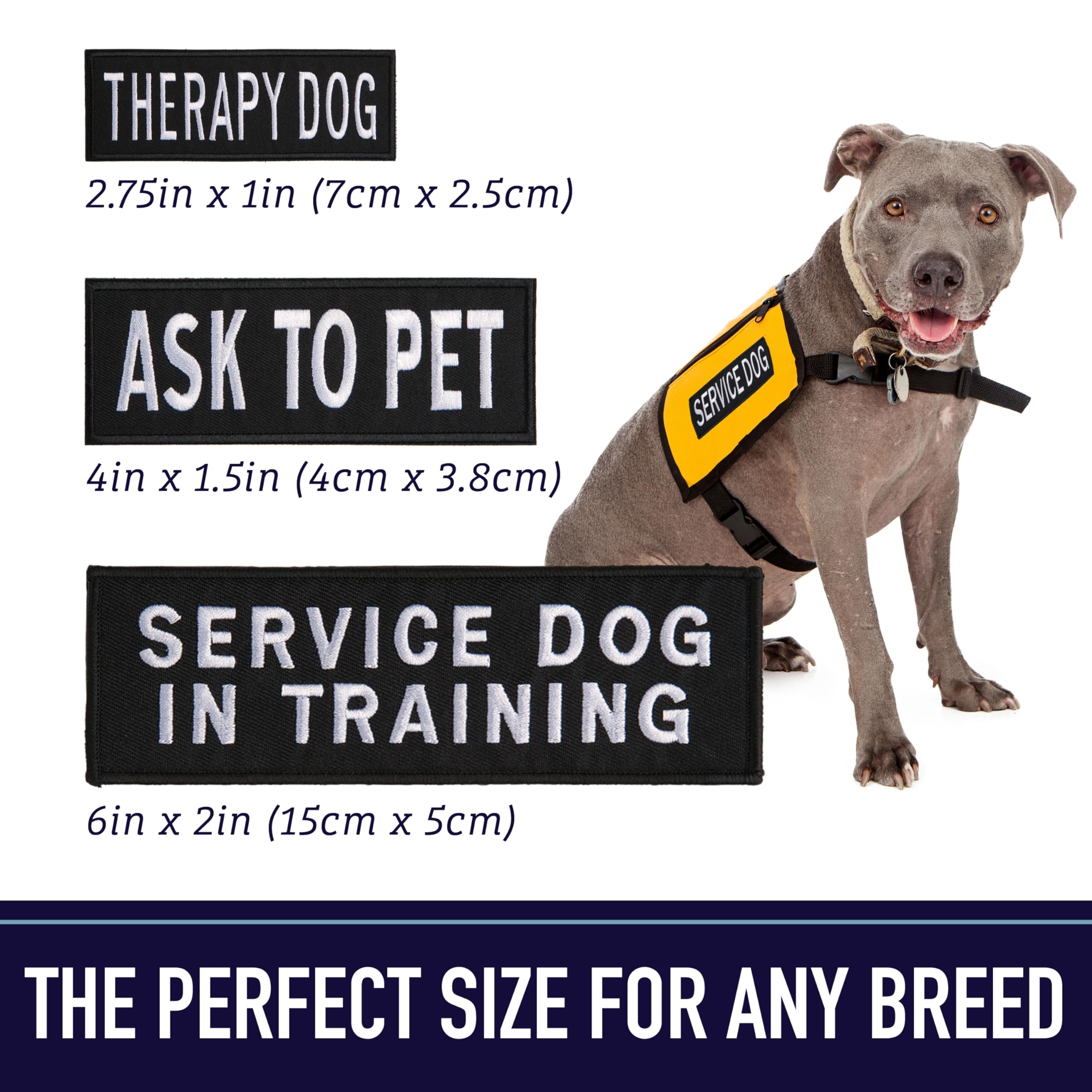 Leash Boss Service Dog Patches for Harness | hook and loop Patches for Dog Harness or Vest | Do Not Pet Patch, Dog in Training,