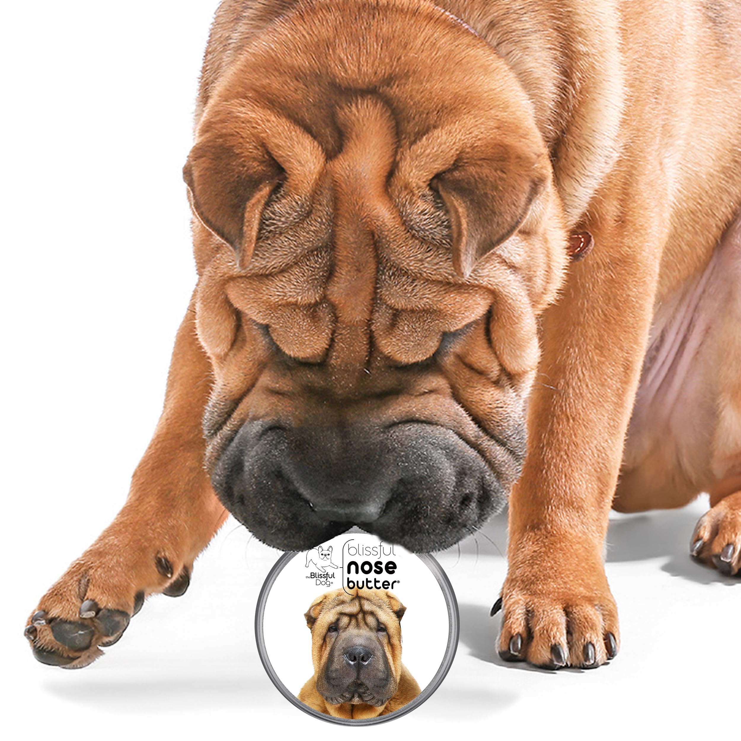 The Blissful Dog Chinese Shar-Pei Unscented Nose Butter, 16oz