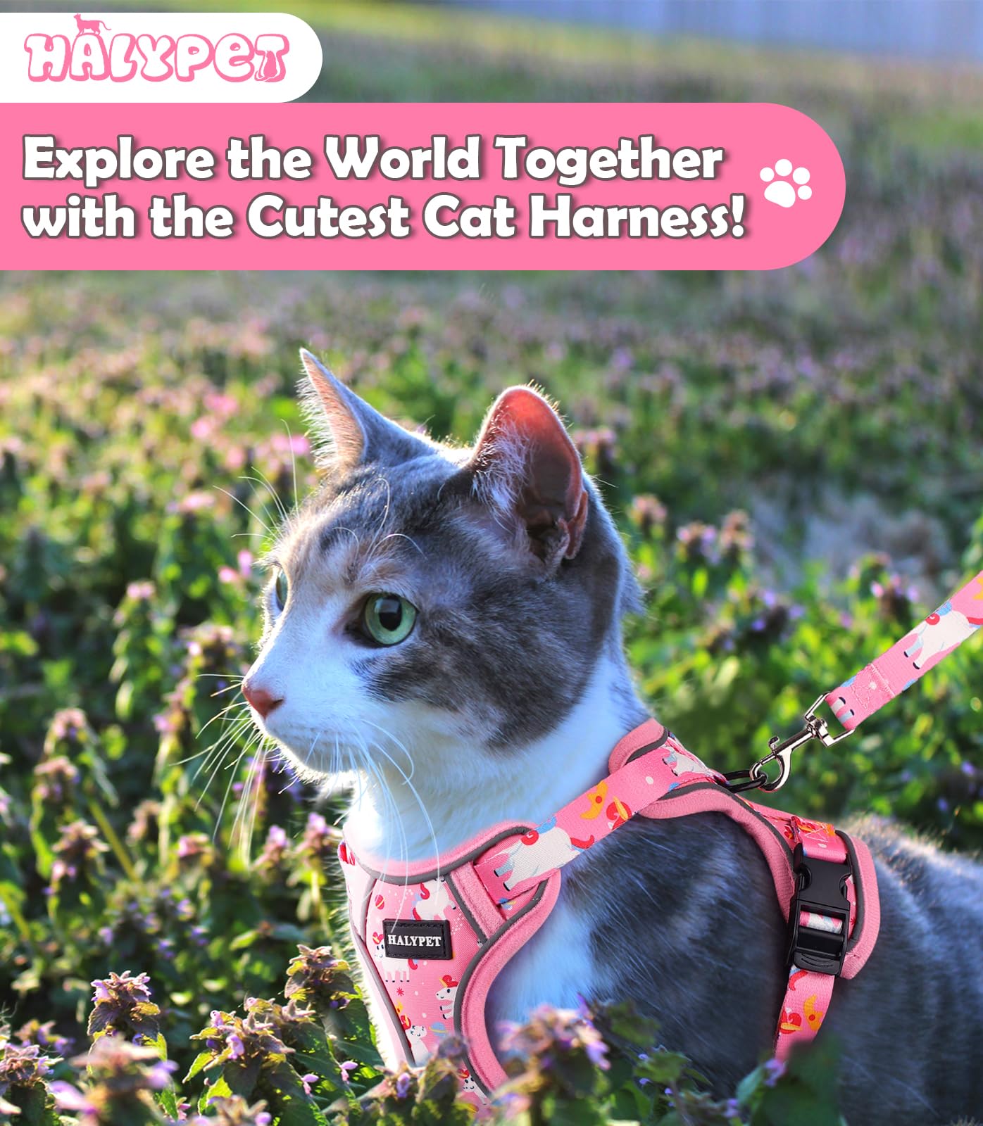 Halypet Cat Harness And Leash Set[Max Safety 4Th-Gen] Cute Escape Proof Vest Harness For Girl&Boy Cat Walking, Comfortable Adjus