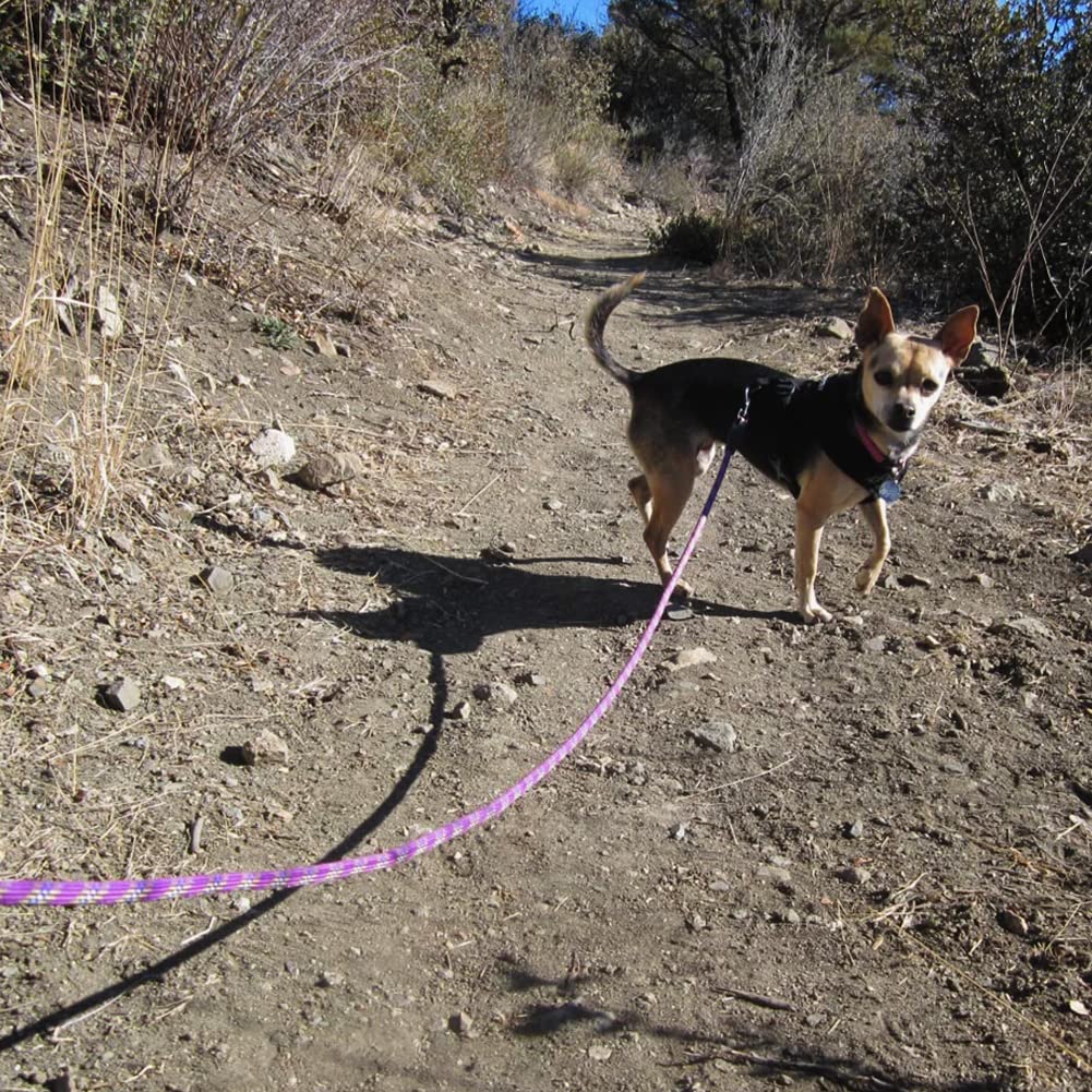 Maypaw Heavy Duty Rope Dog Leash, 3/4/5/6/7/8/10/12/15 Ft Nylon Pet Training Leash, Soft Padded Handle Thick Lead Leashes For Large Medium Dogs (1/2' 6', Purple)