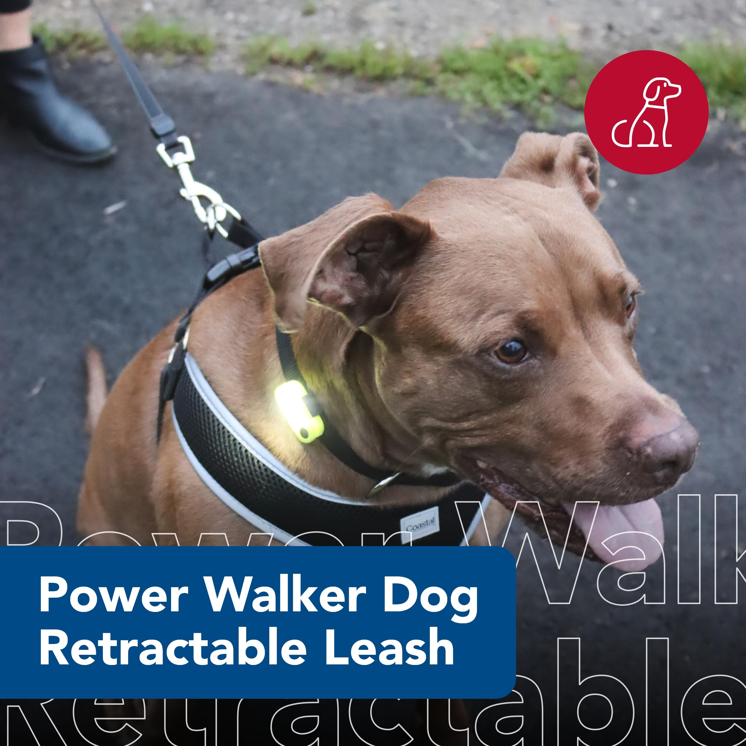 Coastal Pet Power Walker Dog Retractable Leash - Reflective Dog Leash - Stop-And-Release Control Button - Comfort Grip Handle - Blue - Large