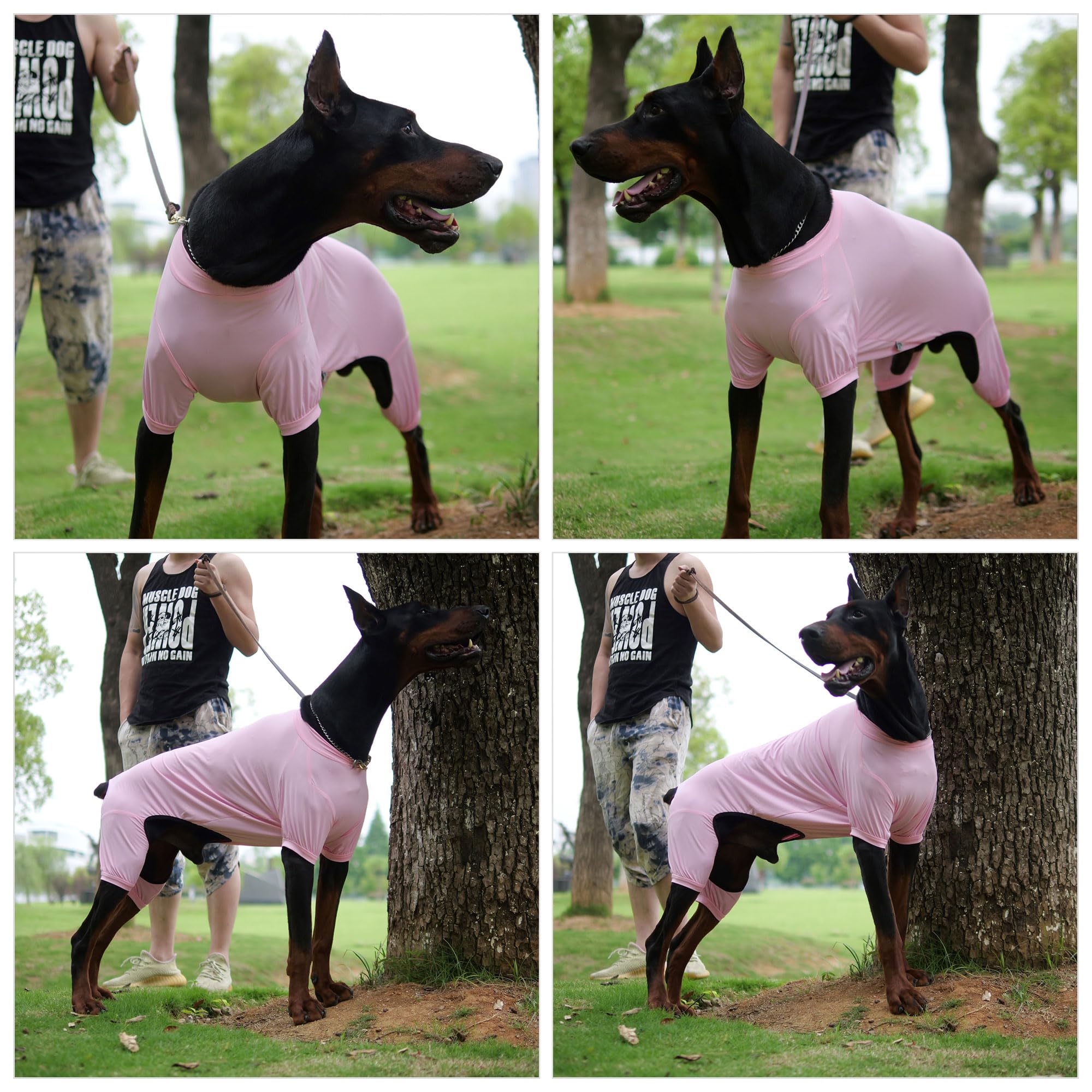 Lovelonglong Dog Jumpsuit With Uv Protection And Quick-Dry Fabric For Spring Summer Pet Pajamas Pink M