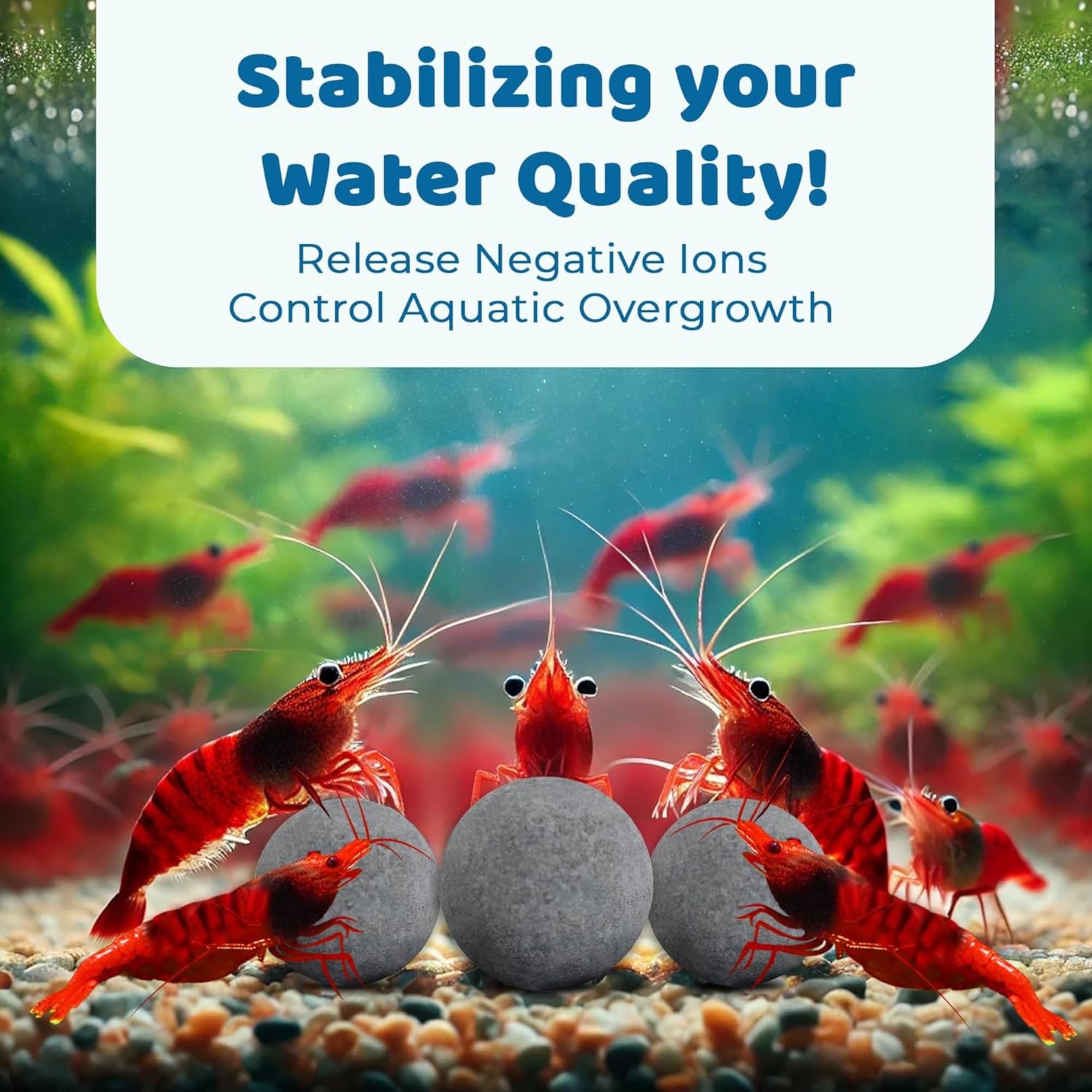 SunGrow Shrimp Water Conditioner Balls, 0.4    Calcium-Rich Balls for Aquarium, Promotes Shedding & Vibrance, 20-Pack