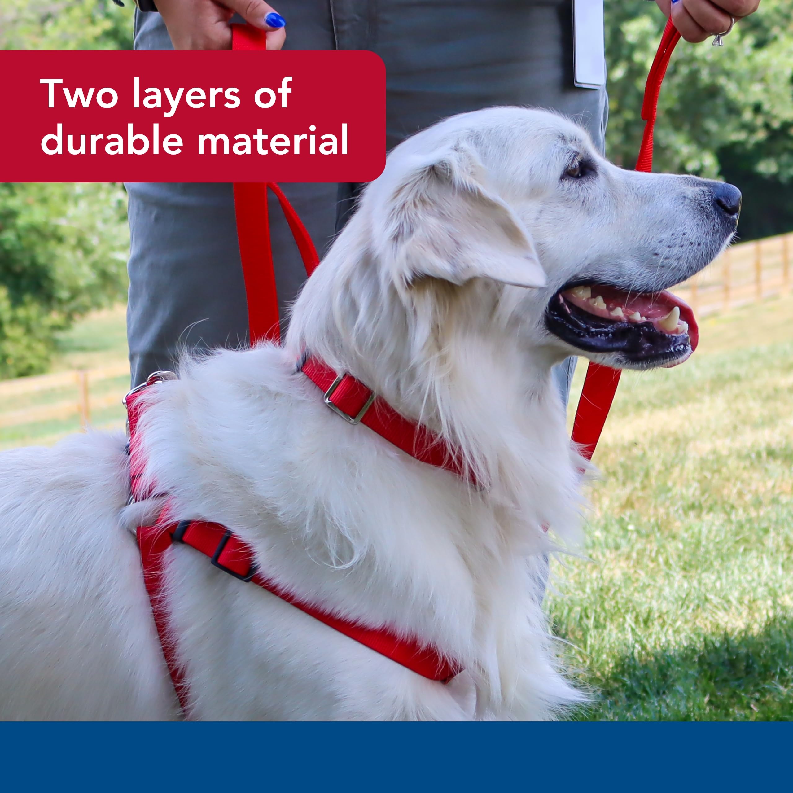 Coastal Pet Double-Ply Dog Leash - Bolt Snap Attachment To Collars And Harnesses - Nylon Dog Walking Leash For Small, Medium And Large Dogs - Red - 1' X 4'