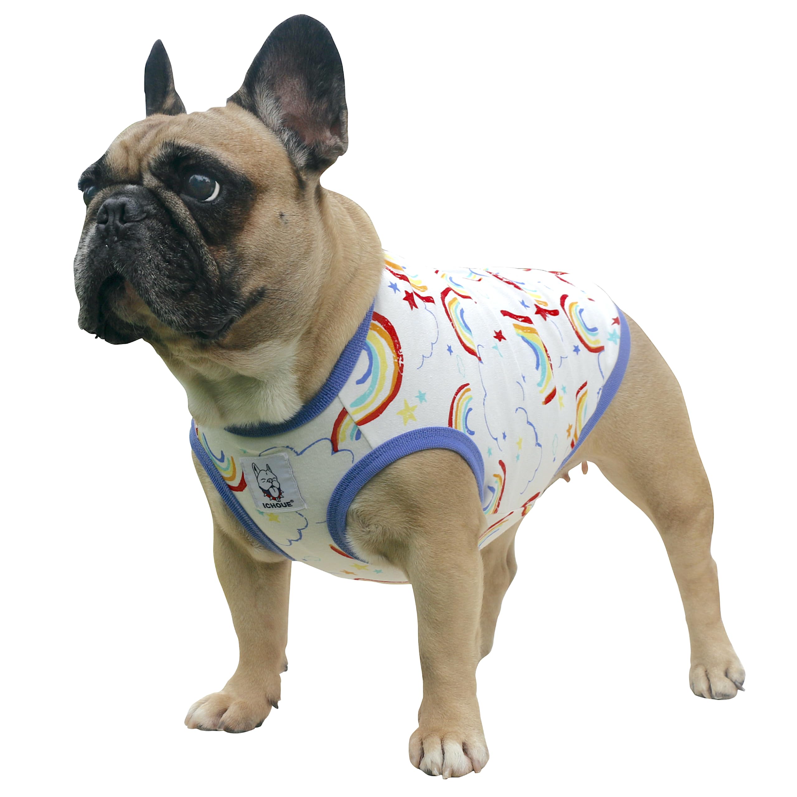 iChoue 100% Breathable Cotton English Bulldog Halloween Cartoon T Shirts Cute Clothes for Medium Large Dogs Vest Tank Tops Terri