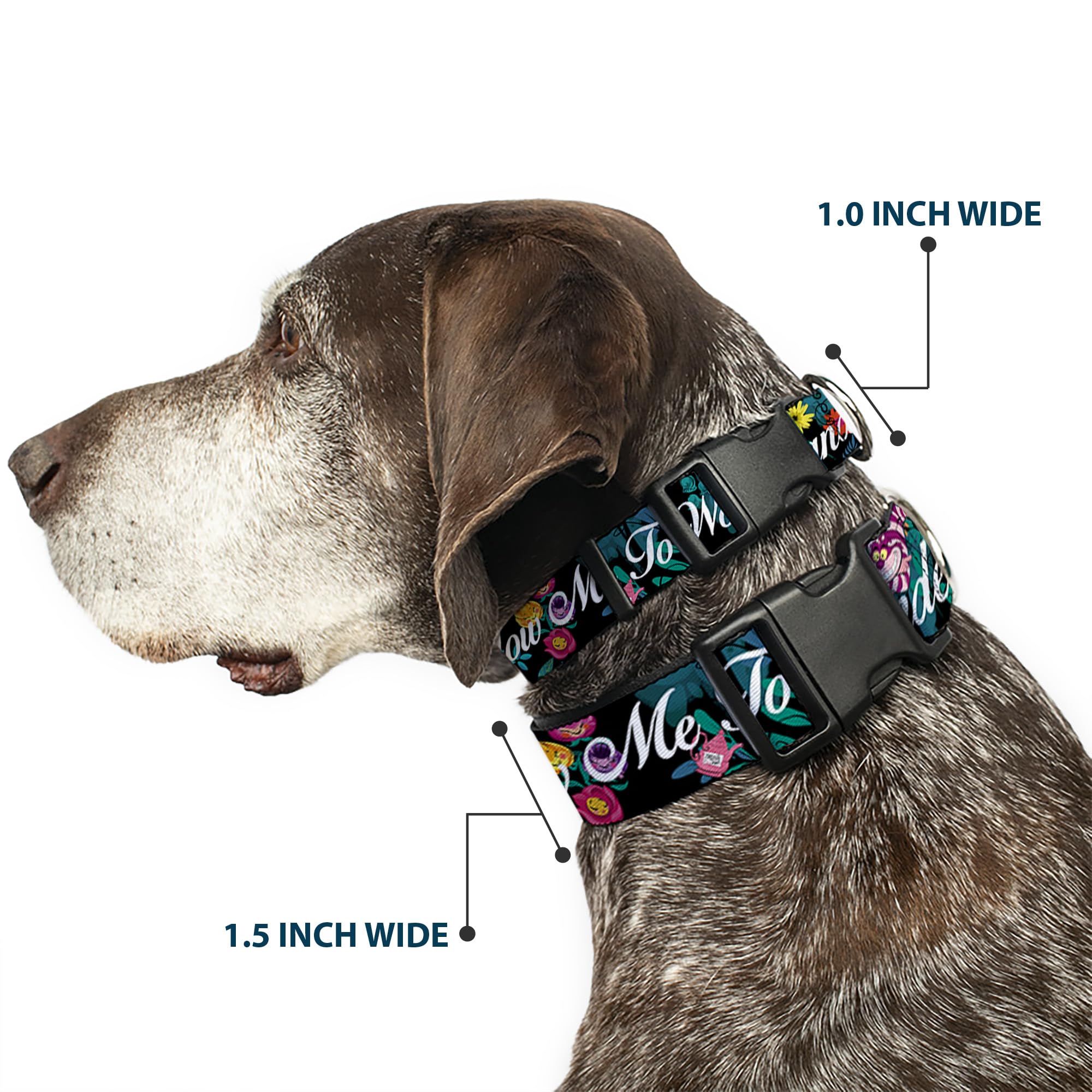Buckle-Down Alice/Cheshire Cat/Flowers Poses2/Follow Me To Wonderland Plastic Clip Collar, Small/9-15''