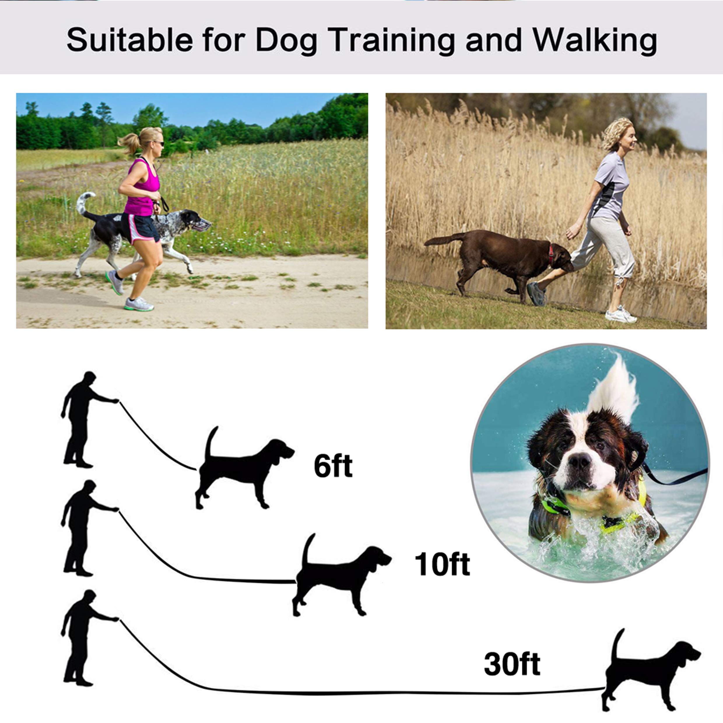 Jeckpat 10Ft Dark Green Dog Leashes - Obedience Recall Training Agility - Traditional Style Extra Long Leads For Large, Medium &