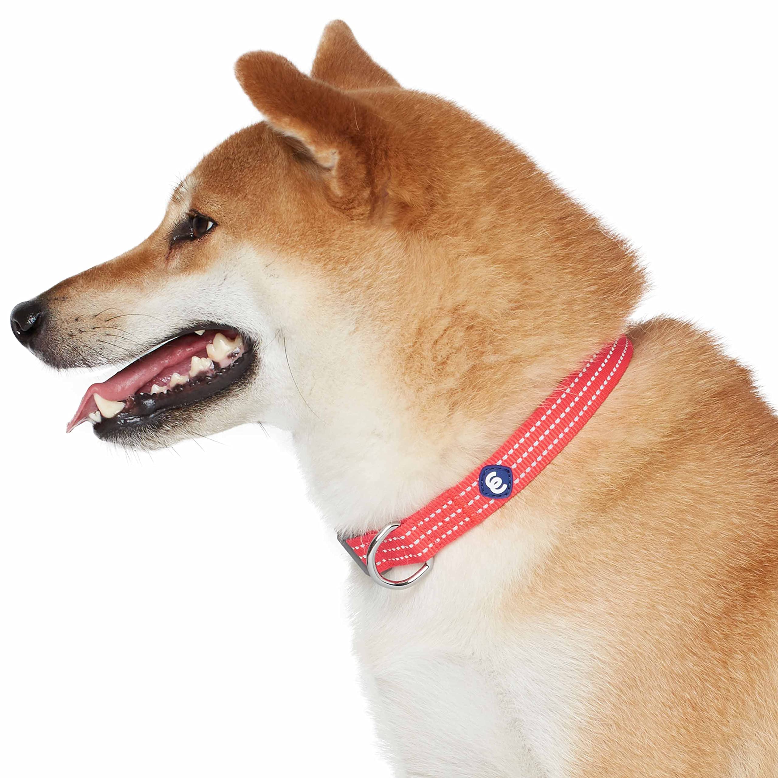Blueberry Pet Essentials Matching Medium Dog Collar | Adjustable Classic Solid Color Nylon Dog Collars for Medium Dogs | Reflect