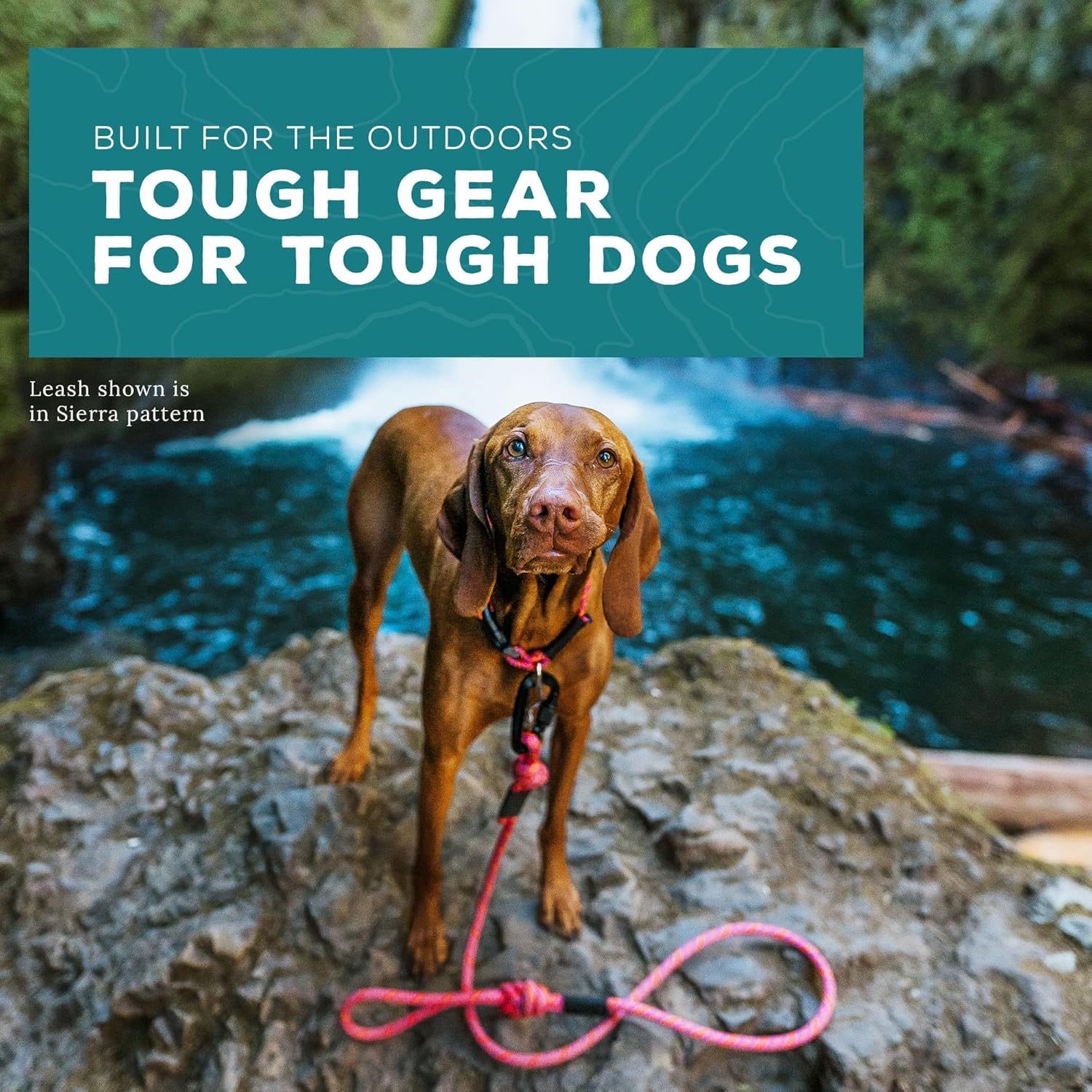 Wilderdog Small Carabiner Climbing Rope Dog Leash For Small & Medium Dogs - 5Ft - Sierra - 1Ct