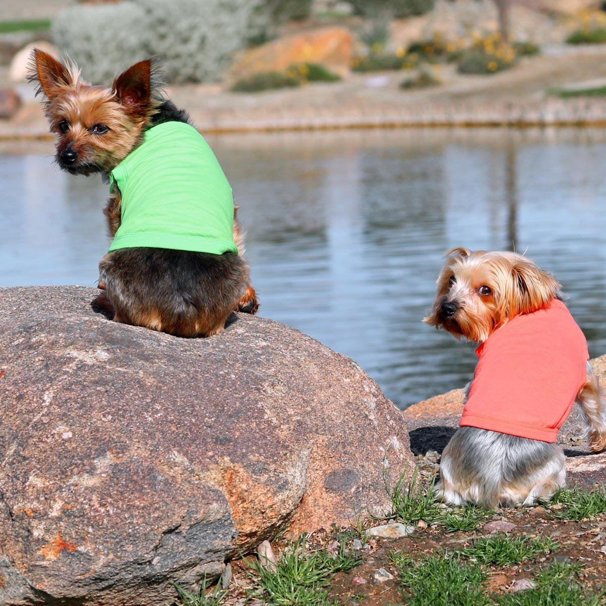 Doggie Design Cotton Dog Tank (Coral, S)