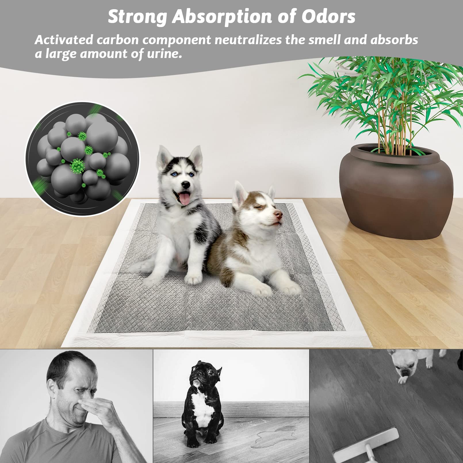 Fhiny Pee Pads for Small Dogs, 24 x 24 40 PCS Large Disposable Puppy Pads Leak-Proof Super Absorbent Charcoal Potty Training Pad