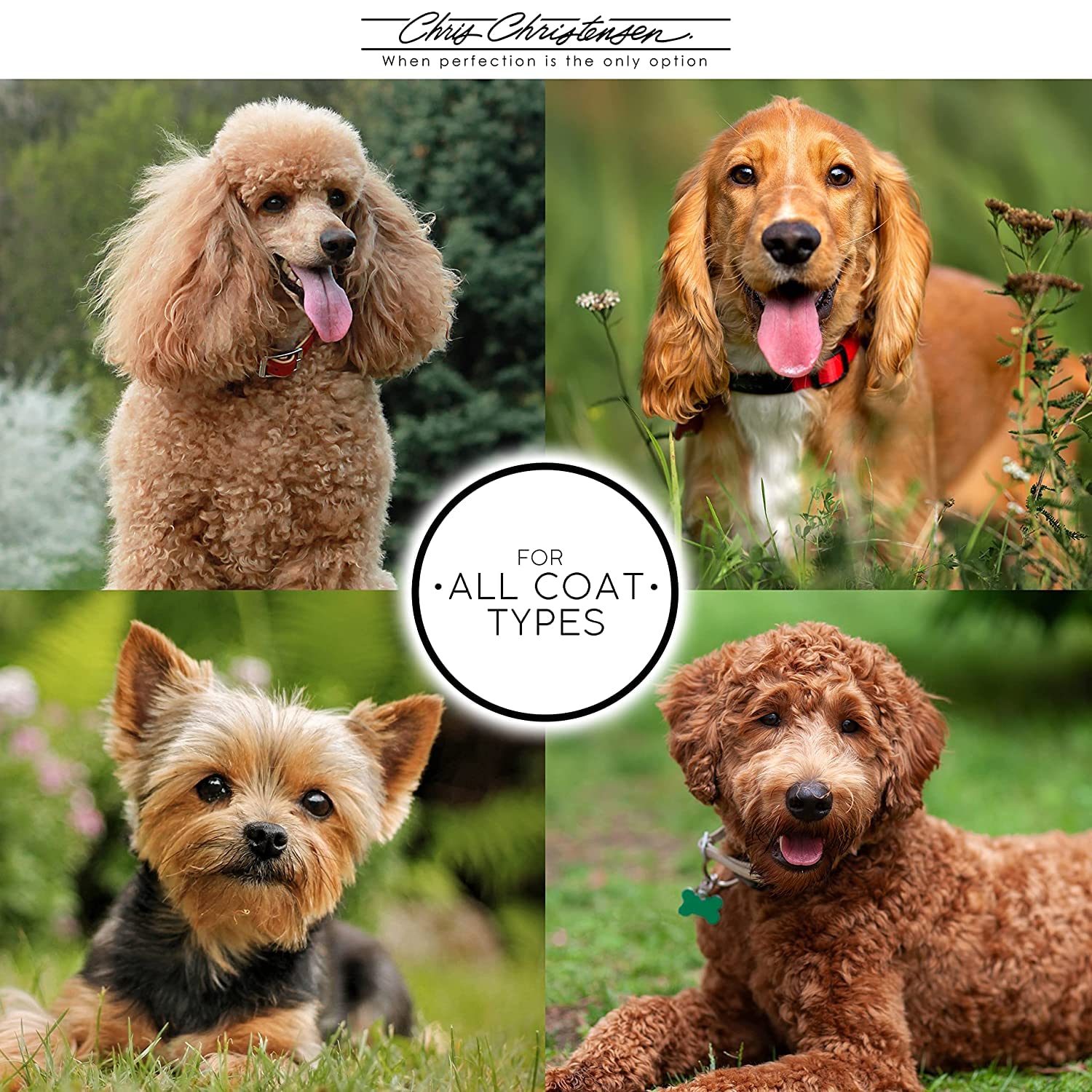 Chris Christensen Big G Dog Slicker Brush For Dogs (Goldendoodles, Labradoodles, Poodles), Groom Like A Professional, Fluff Detangle Style, Saves Time Energy, Coral, Large