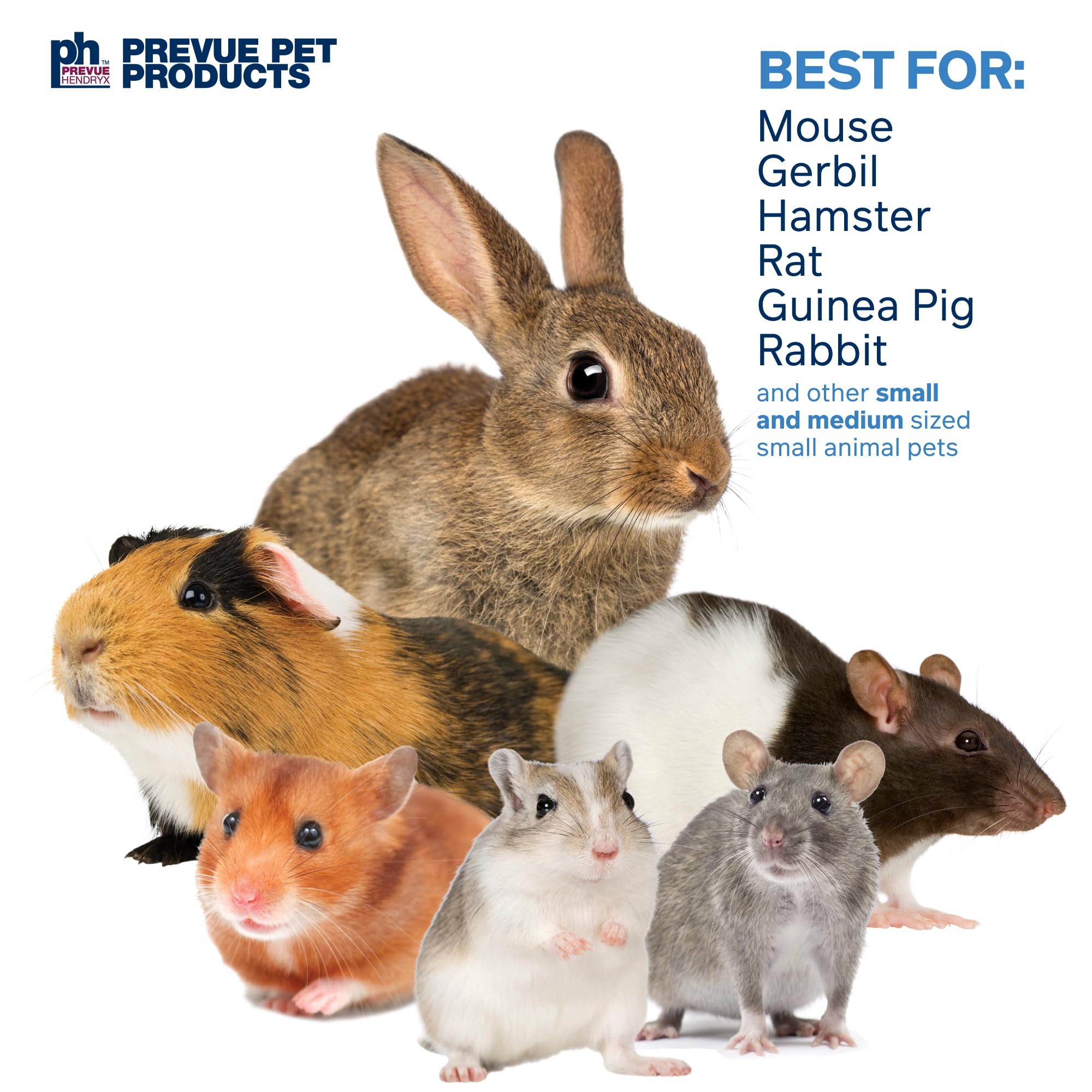 Prevue Pet Products Dine & Dash Small Animal Toy Bundle