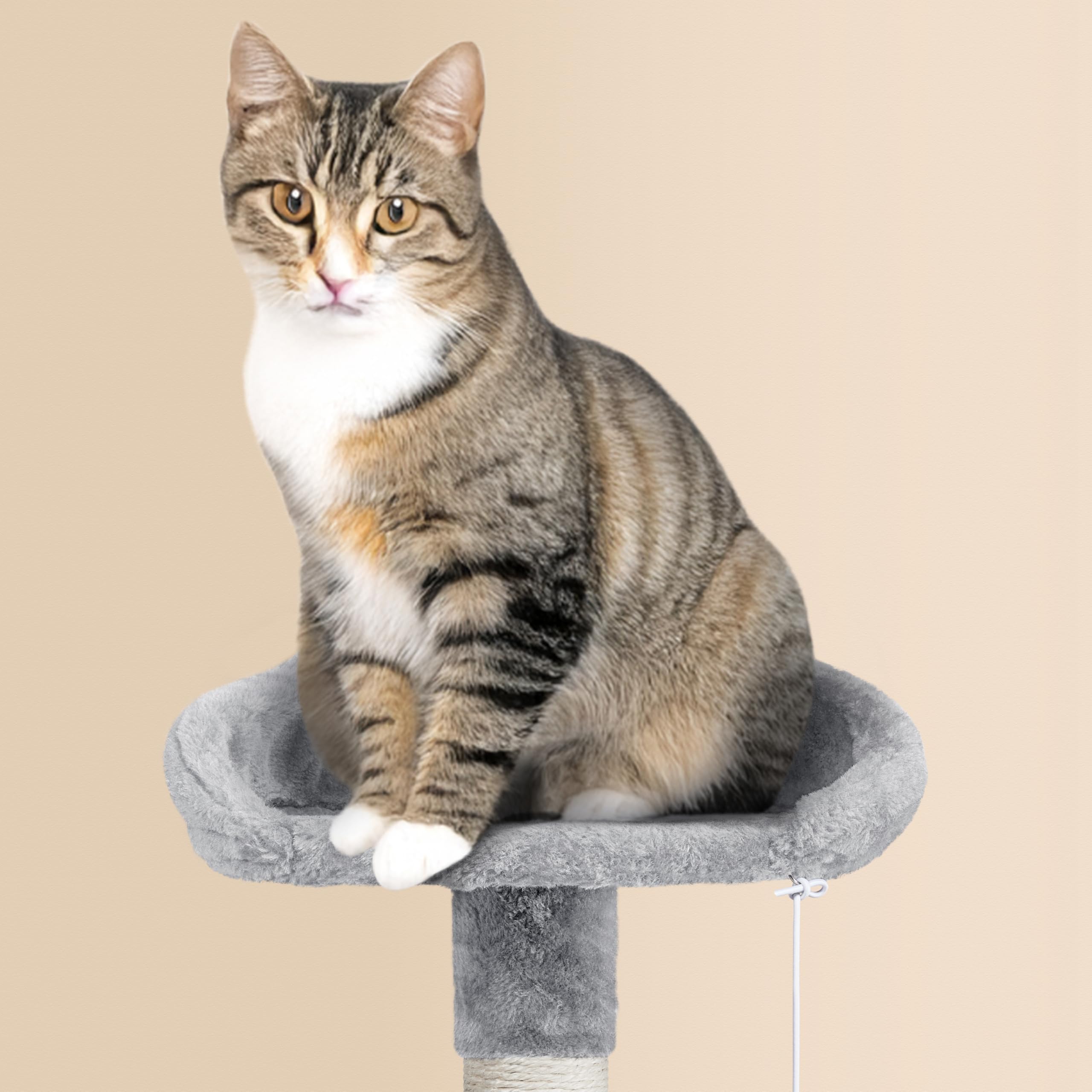 Yaheetech 64.5In Extra Large Multi-Level Cat Tree Kittens Play House Condo With Platform, Perch Hammock & Scratching Posts, Ligh