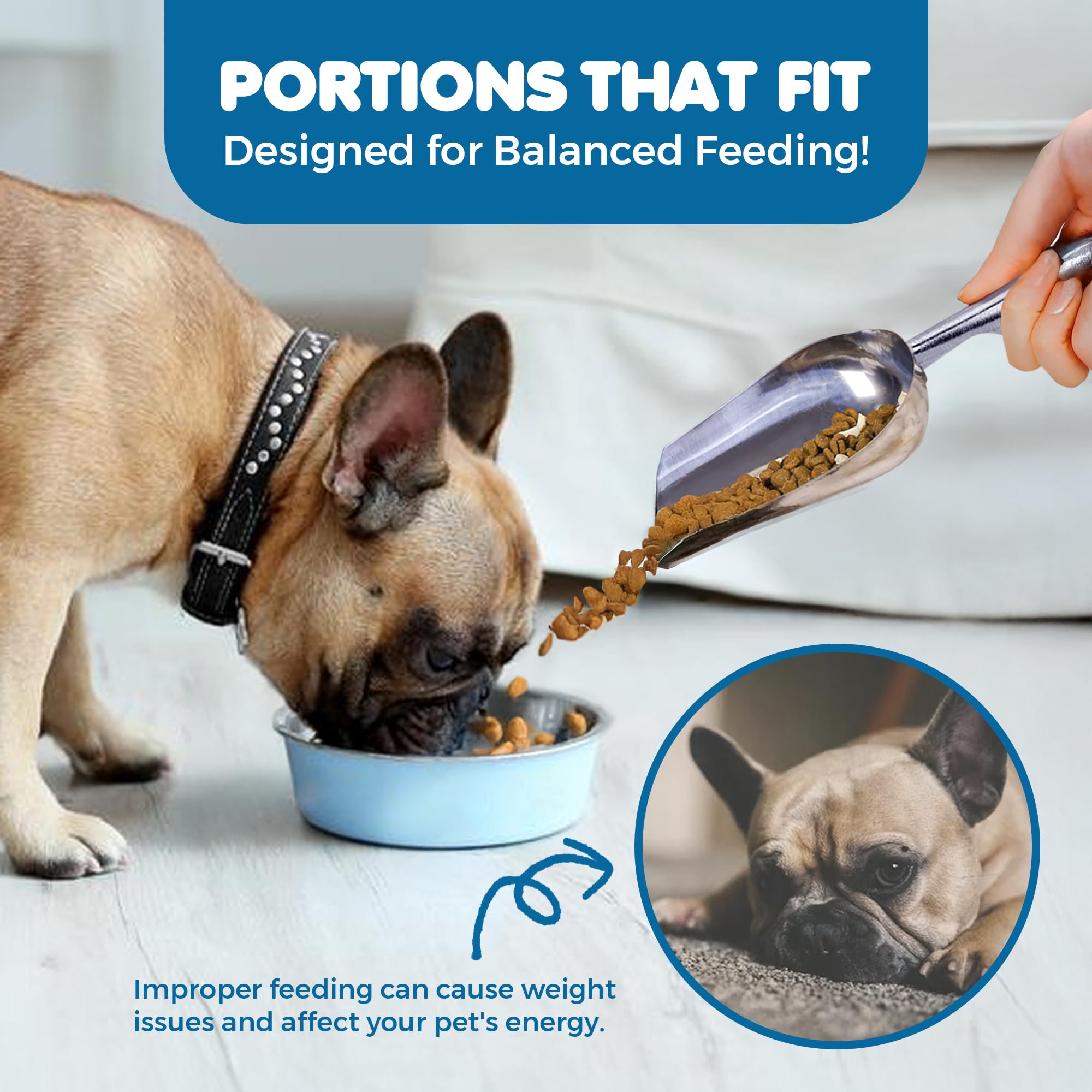 SunGrow 2-in-1 Cat Litter and Food Scoop, Silver, Small - Reduces Hand Fatigue, Faster Scooping, Model MNO-052
