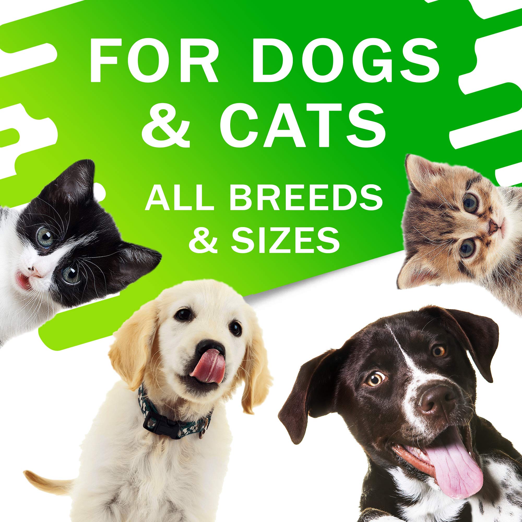 Kennel Cough Drops for Dogs and Cats - 2oz Pet Herbal Remedy - Throat Soother - Homeopathic Respiratory Support - Dry, Wet & Bar