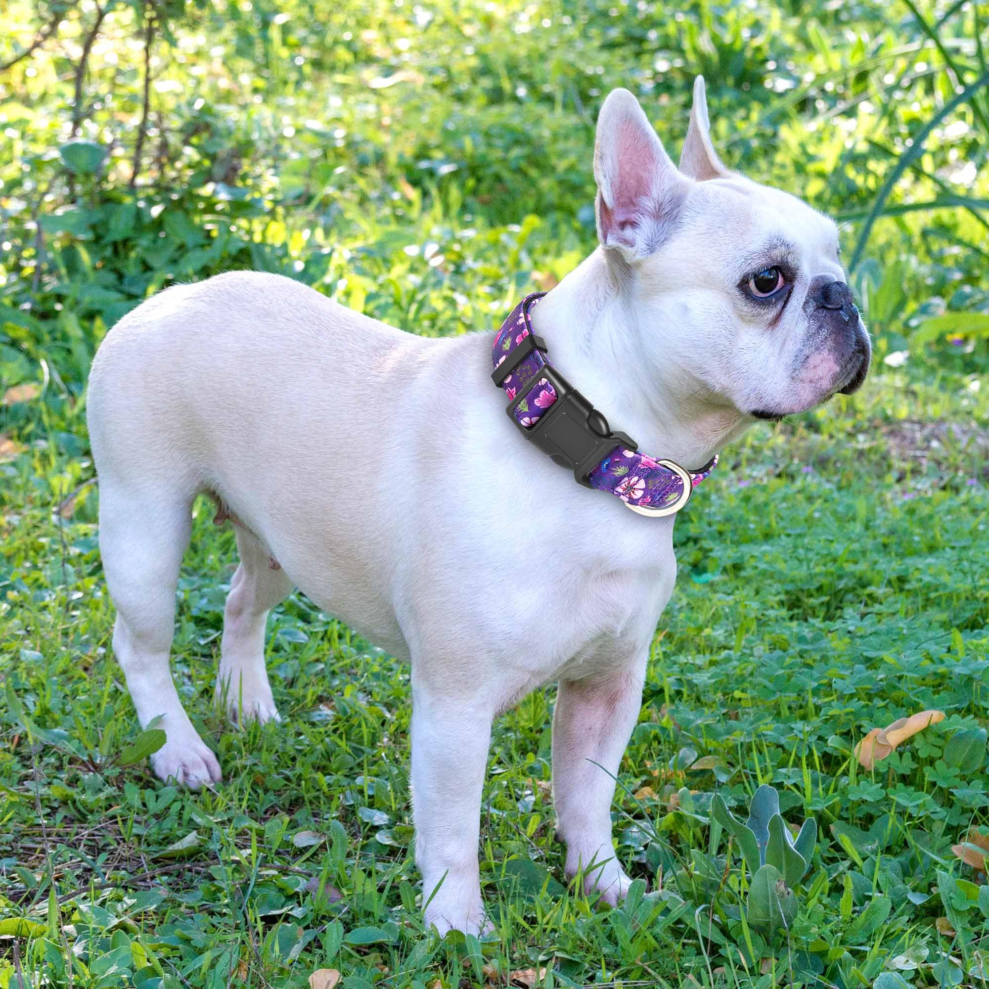 Ladoogo Reflective Dog Collar Padded With Soft Neoprene Breathable Adjustable Nylon Dog Collars For Small Medium Large Dogs (Medium (Pack Of 1), Purple/Pink Floral Collar+Leash)