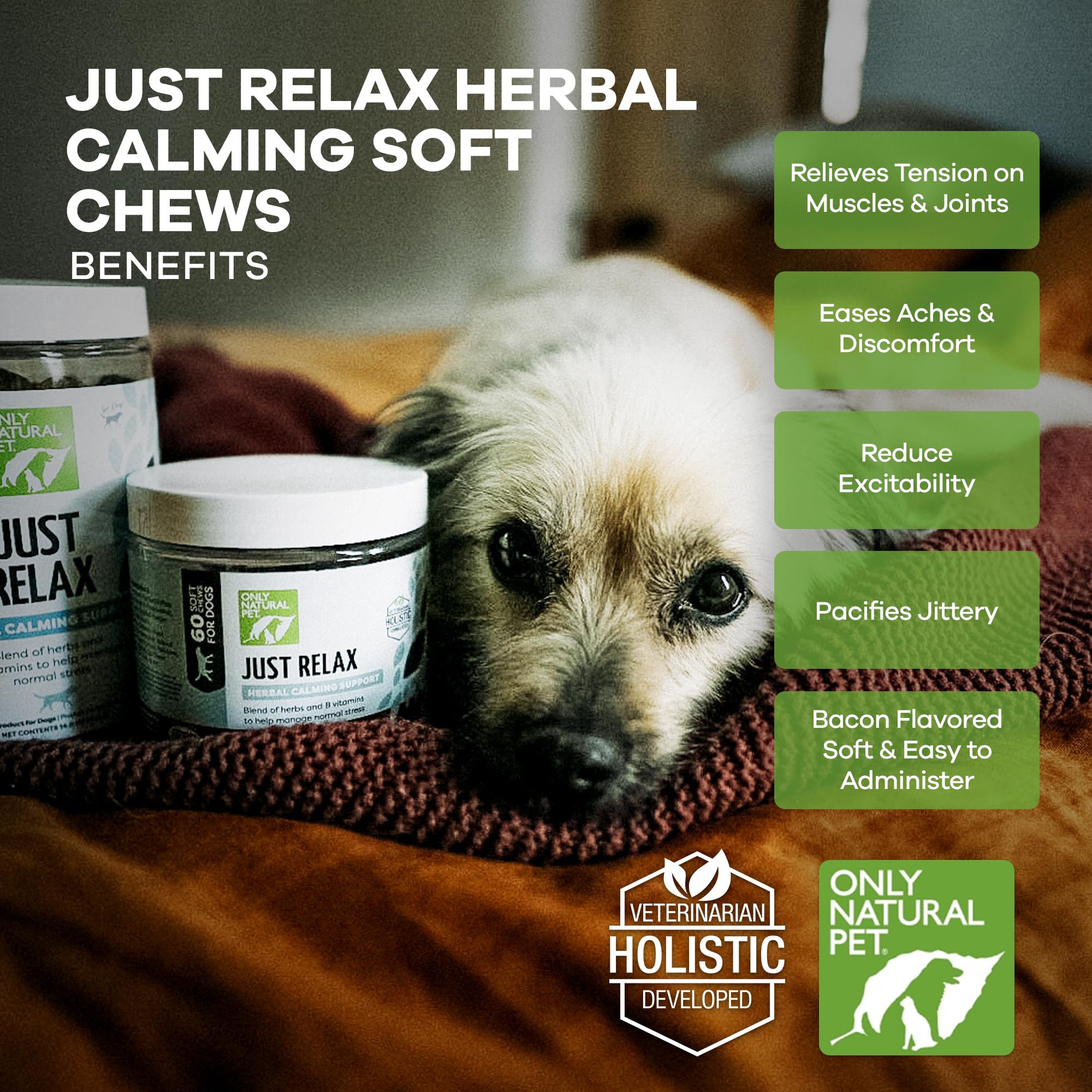 Only Natural Pet - Just Relax Herbal Calming Soft Chews for Dogs | Natural Anxiety Relief Treats, Premium Dog Relaxation Aid, St