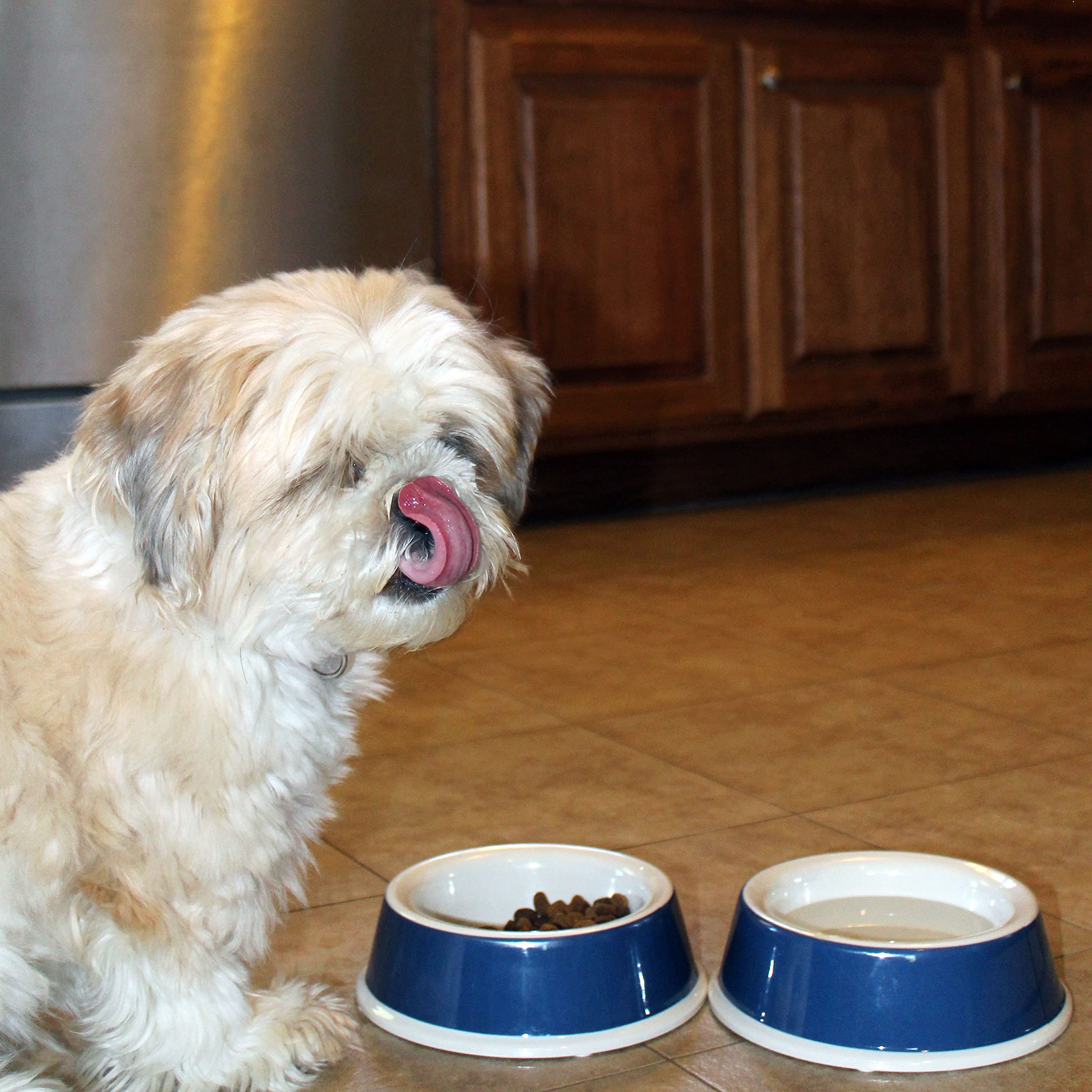 Van Ness EcoWare Small Dog Bowl - Non-Tip/Non-Skid, 15 OZ, Burlap, Model ENT15B, Eco-Friendly Bamboo Material