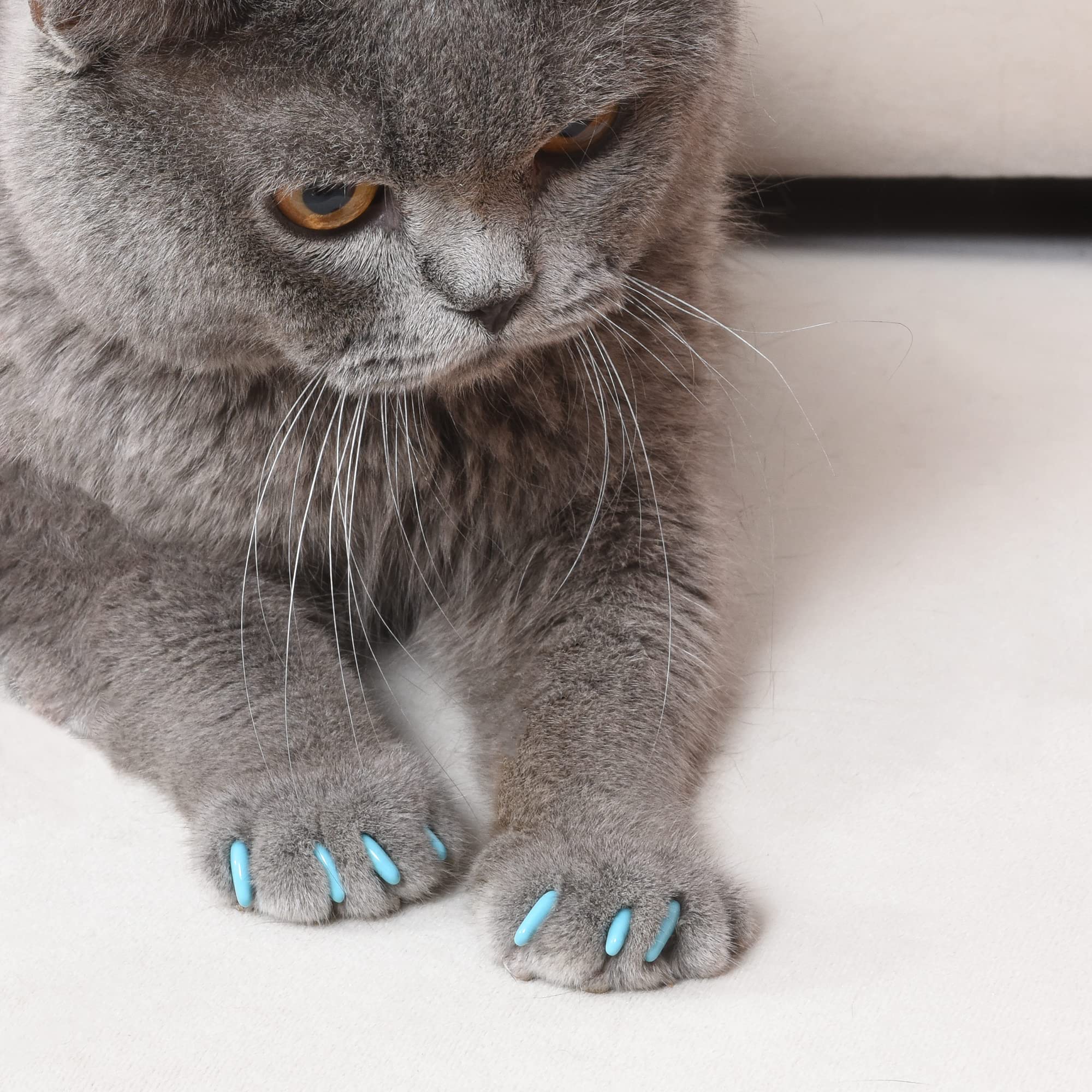 Kitty Caps Nail Caps for Cats, Black with Gray Tips & Baby Blue - Safe, Stylish & Humane Alternative to Declawing Stops Snags &