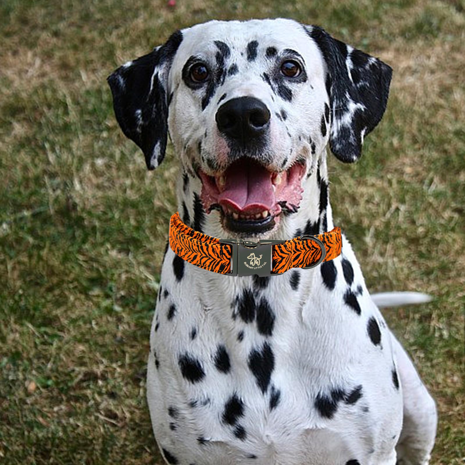 Elegant Tiger Print Summer Collar - Cotton, Durable Metal Buckle Collar For X-Small Dogs