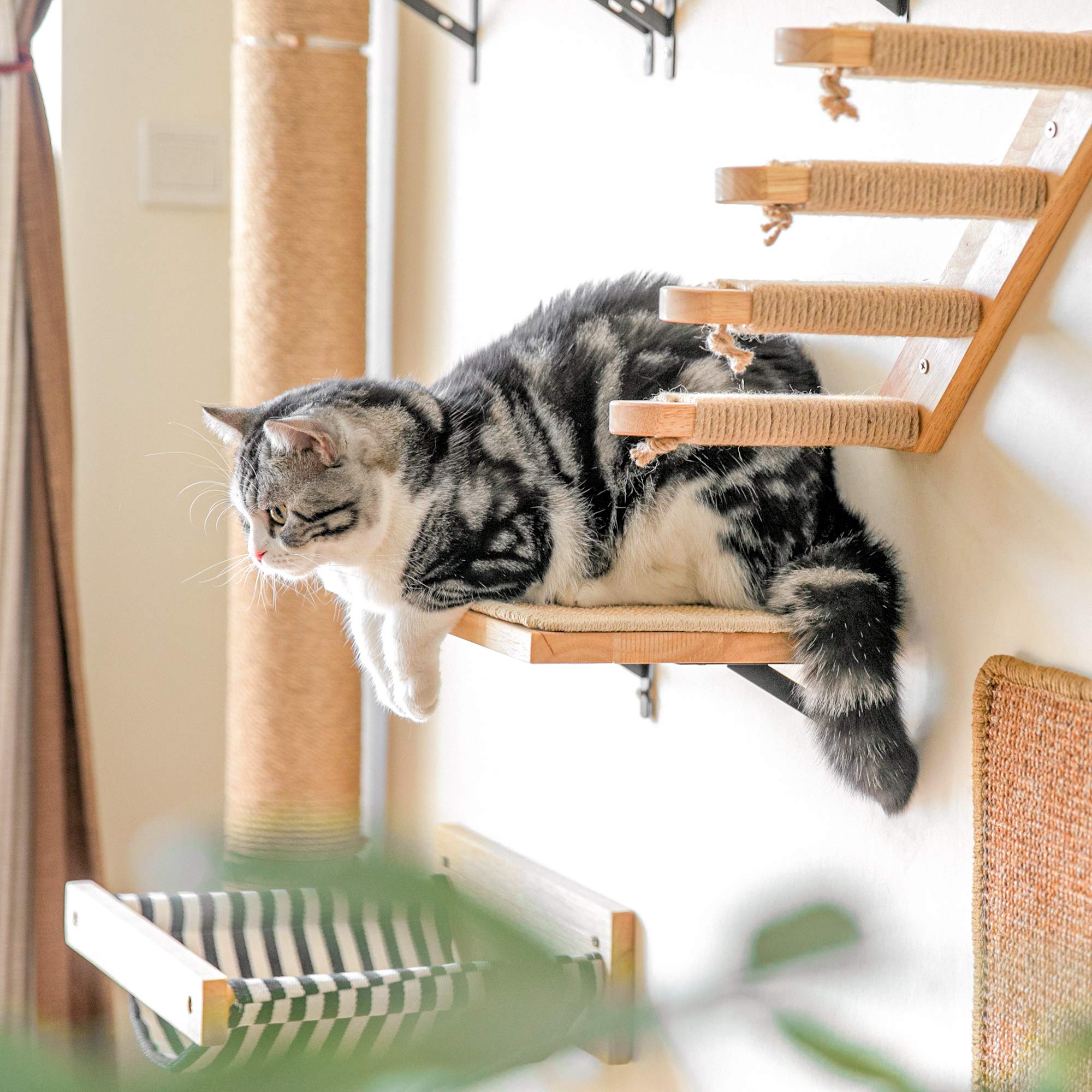 Fukumaru Cat Wall Shelves, 16 X 10 Inch Cat Wall Furniture With Sisal Mat, Solid Rubber Wood Floating Wall Shelf With Upgraded Installation, Cat Window Perch For Sleeping, Playing And Scratching