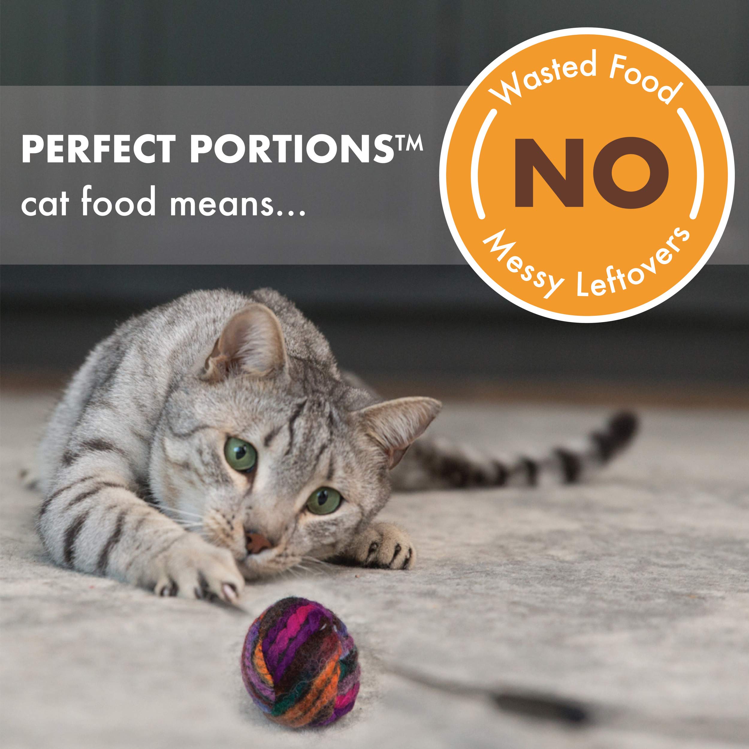 Nutro Perfect Portions Wet Cat Food Cuts in Gravy Chicken & Salmon Recipe, 2.64 oz Twin-Pack Trays (24 Count, Pack of 1)