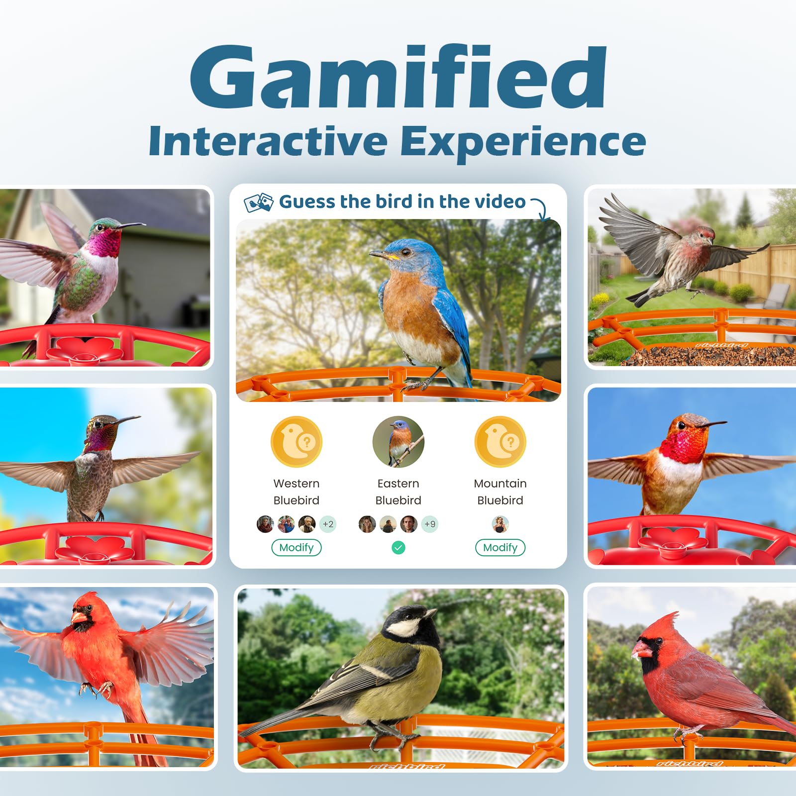 Smart Bird Feeder with Camera, Birdwatching Camera with Lifetime Free AI Identify Bird Species & Solar Panel, Auto Video Capture