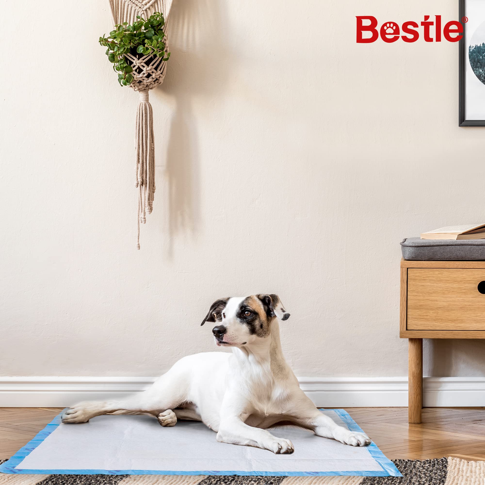 Bestle Extra Large Pet Training And Puppy Pads Pee Pads For Dogs 28''X34'' -18 Count Super Absorbent & Leak-Proof
