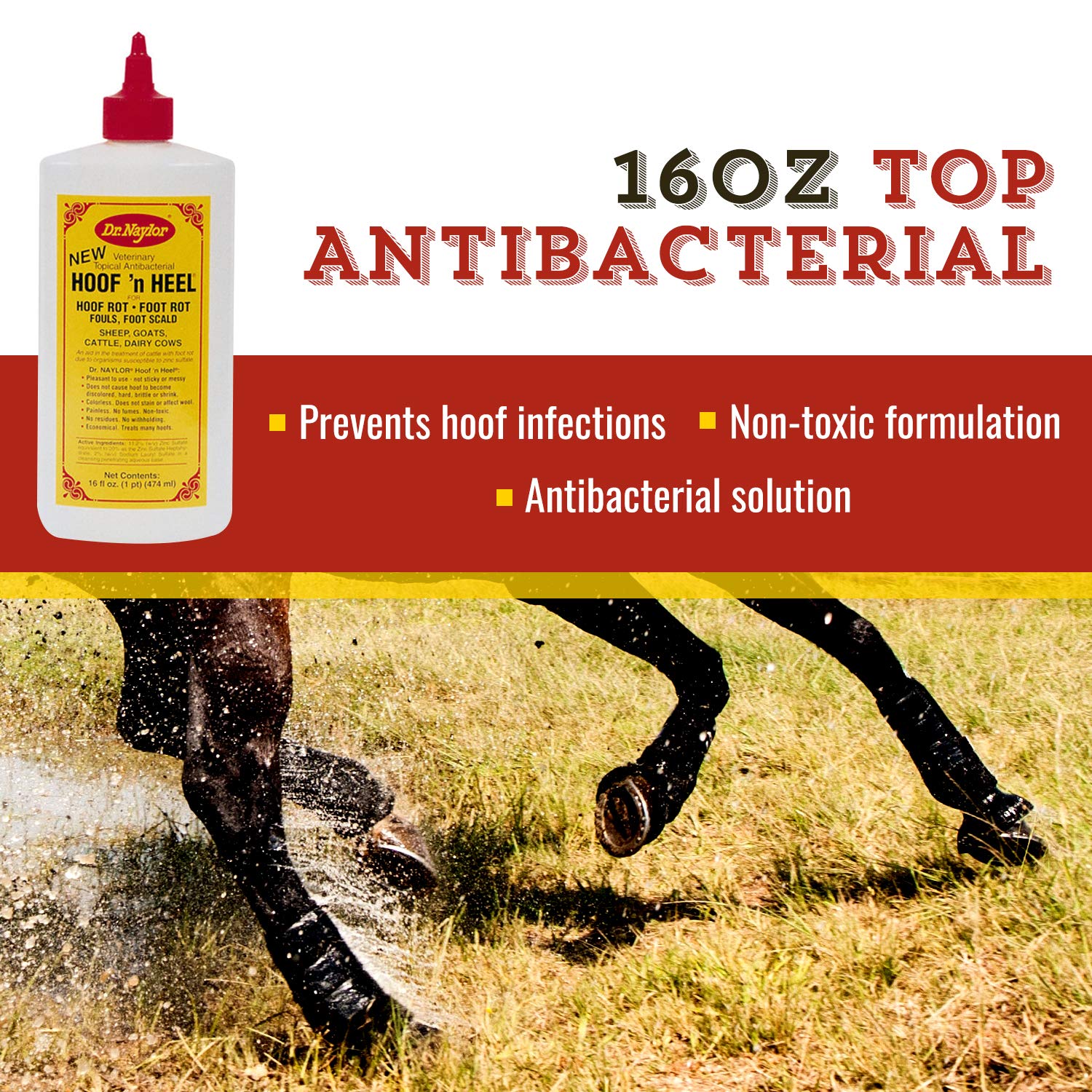 Dr. Naylor Hoof N Heal, Hoof Rot Foot Rot Wound Care, 16oz, Sheep Goat Cow Horse, 1-pack
