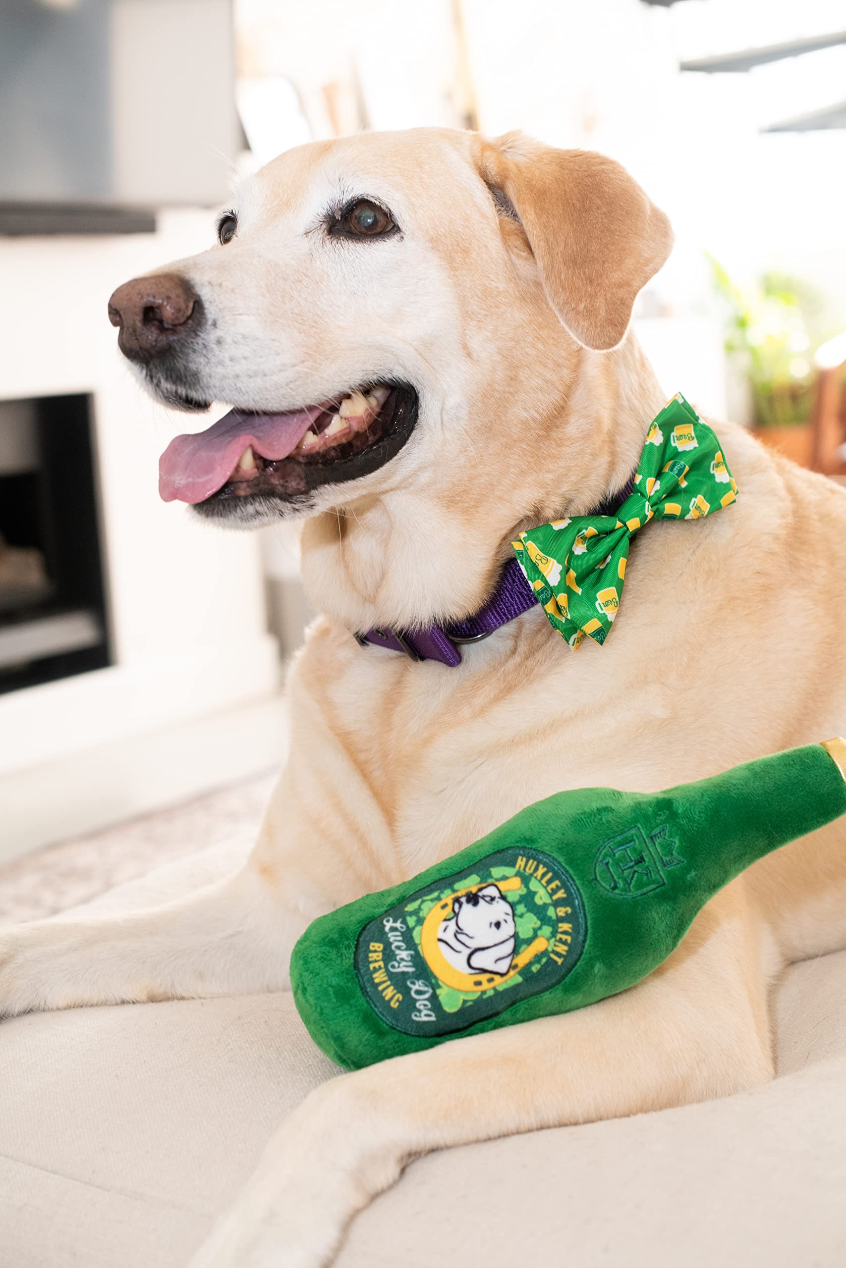 Huxley & Kent Bow Tie For Pets - Irish Suds (Extra-Large) - St. Patricks Day Bow Tie Collar Attachment - Fun Bow Ties For Dogs &