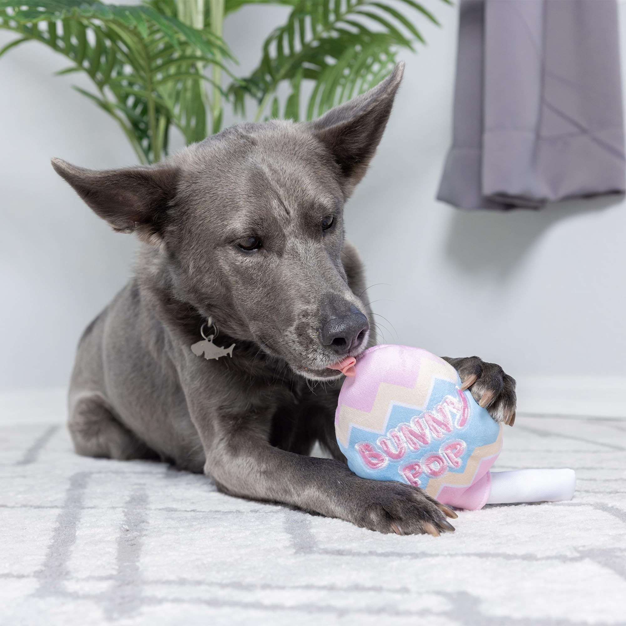 Huxley & Kent For Dogs - Bunny Pop (Large) - Easter/Spring Funny Dog Toy - Power Plush Funny Dog Toy With Squeaker - Fun, Durabl