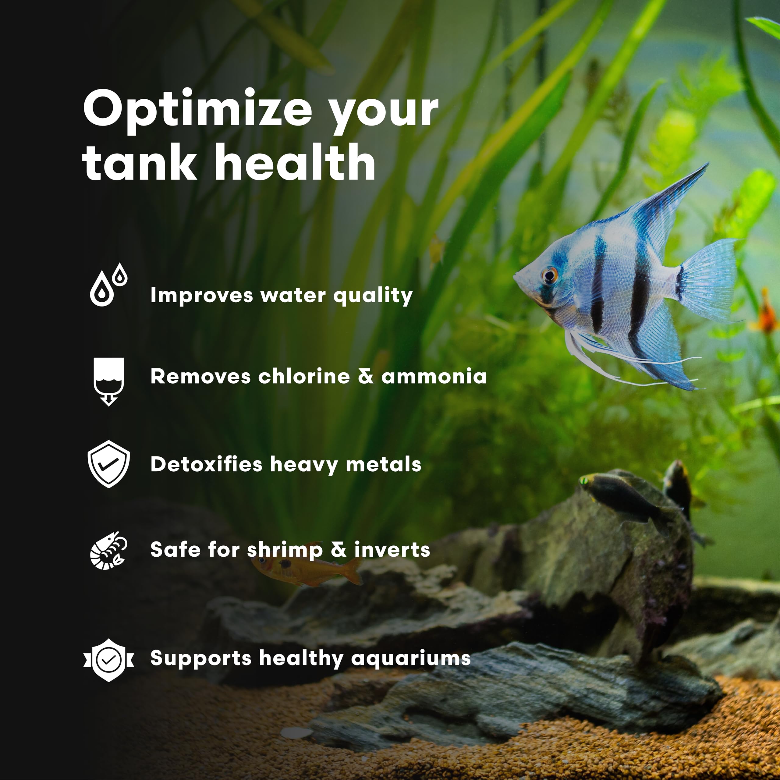 Brightwell Aquatics Shrimp Prep - Water Conditioner for Freshwater Shrimp & Aquariums - Removes Chlorine, Ammonia & Heavy Metals