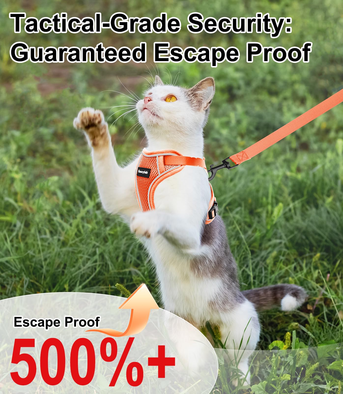 Cat Harness And Leash For Walking Escape Proof Soft Adjustable Cat Leash Breathable Comfortable Vest Easy To Wear Kitten Harness