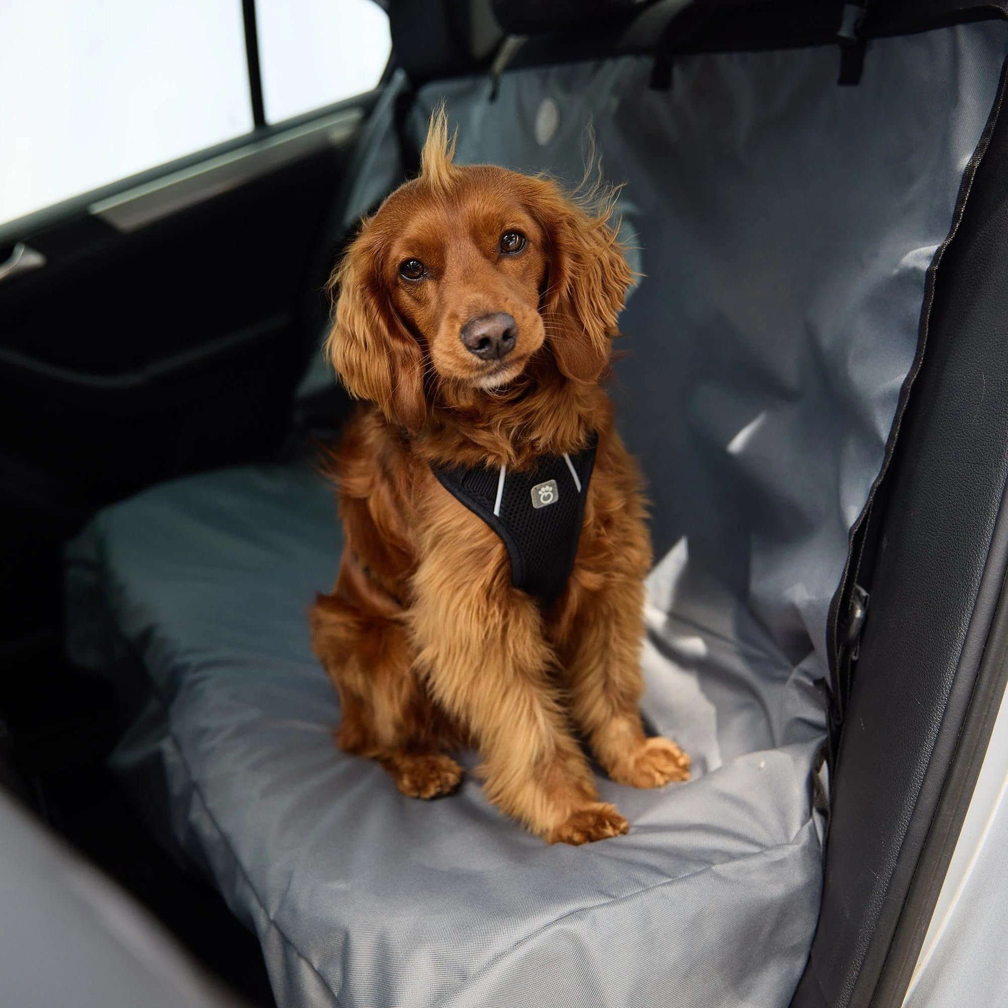 Gf Pet Travel Harness - Black - Xl