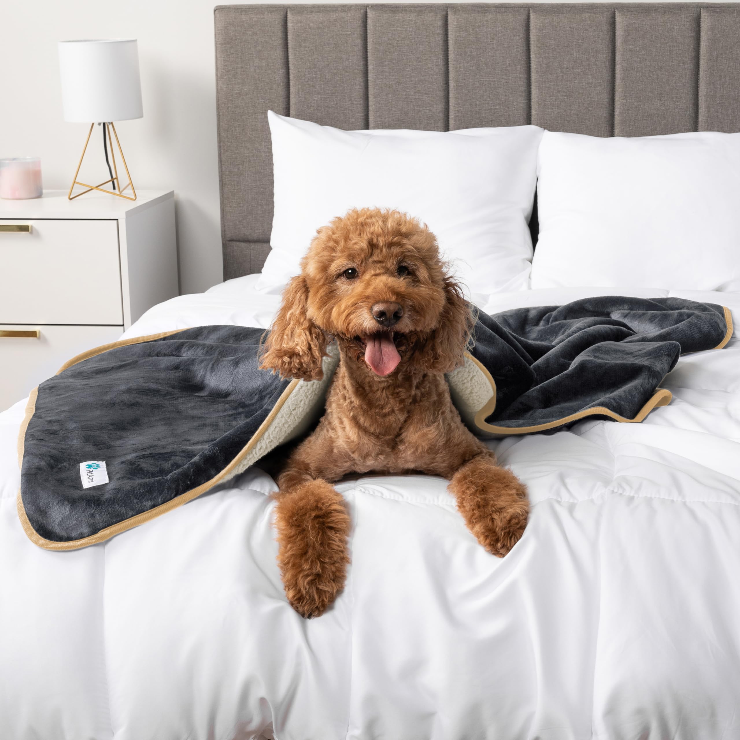 Petami Waterproof Dog Blanket For Medium Large Dogs, Pee Proof Pet Blanket For Bed Couch, Reversible Water Proof Blanket For Puppy Indoor Cat, Soft Dog Pee Crate Cover Washable, 60X80 Gray/Beige